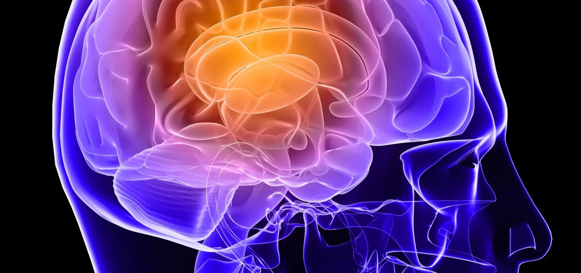 Train Your Brain