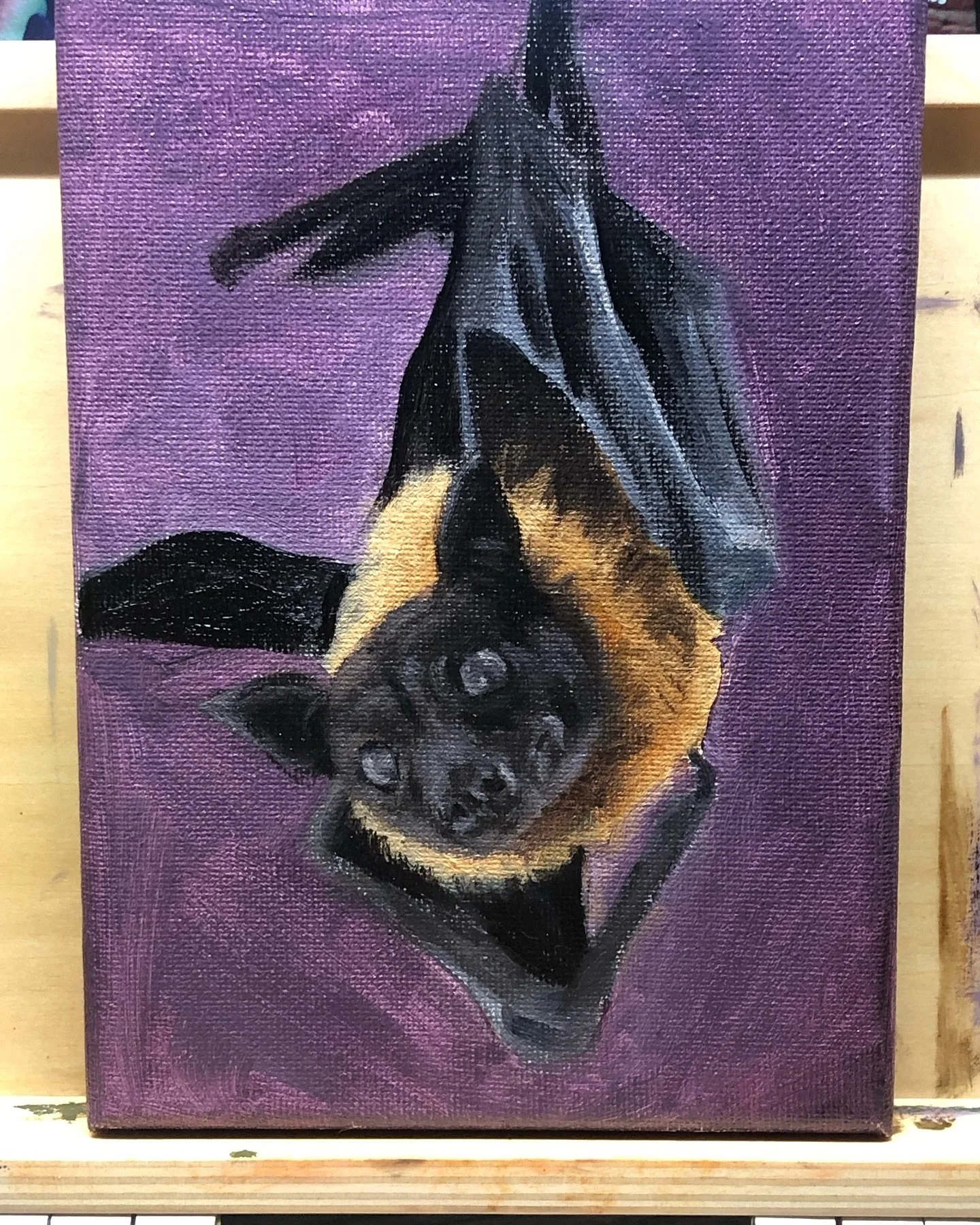 There is still quite a bit of work to do on this guy but it&rsquo;s such a cute face!! #bat #dogbat #creatureofthenight #halloween #nocturnalanimals #nocturnalpollinators #workinprogress #oilpainting #minipainting #wildlifepainting