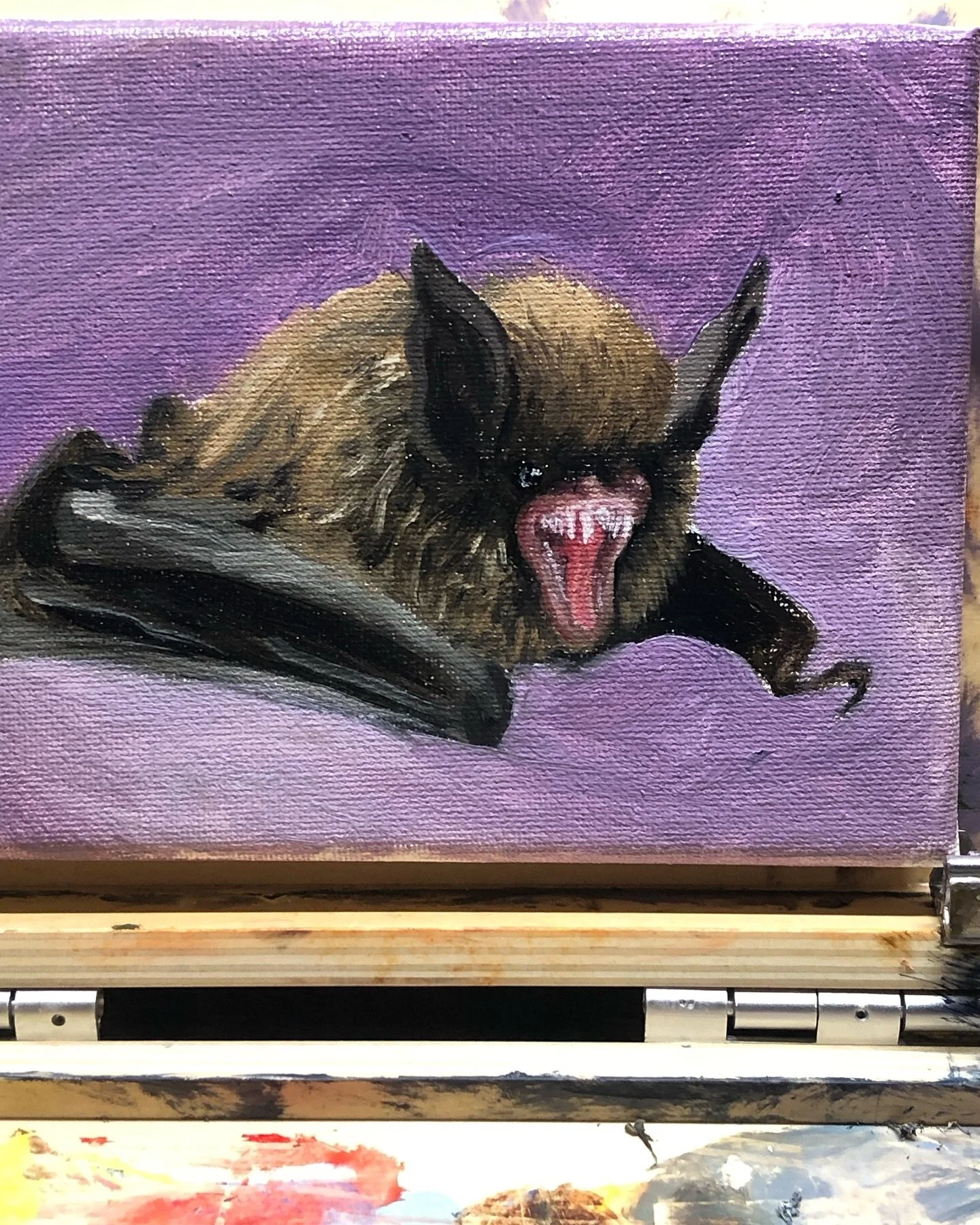 Quick little 40 minute warm up painting of another little #bat #paintingwarmup #spooky #spookyseason