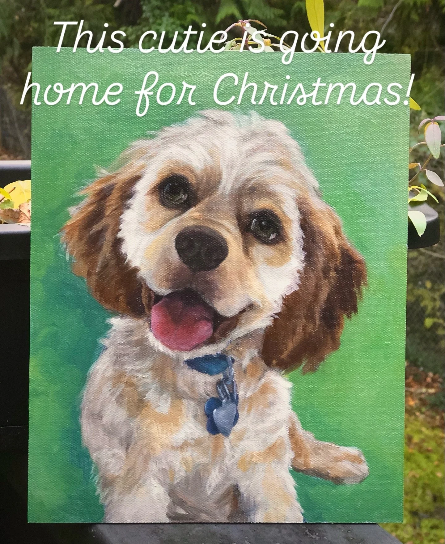 This cutie is heading home for a Christmas! 🎁 A painting of one of the best companions we could have is great gift for any occasion! #dogportrait #animalportrait #cockerspaniel #bestfriend #oilpainting