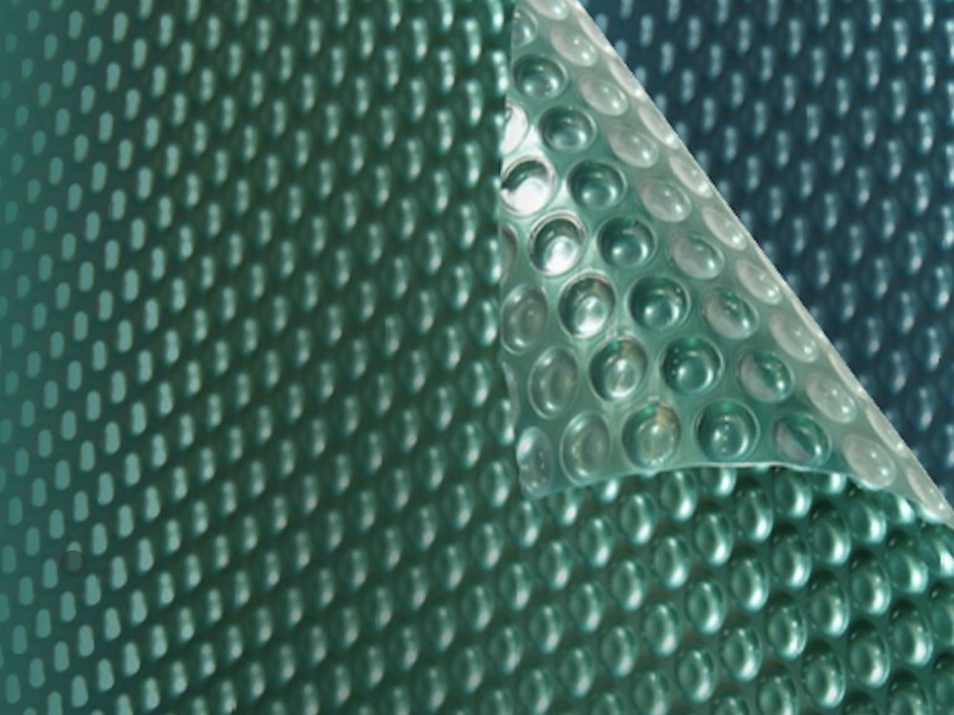 Daisy Ultradome Pool Cover