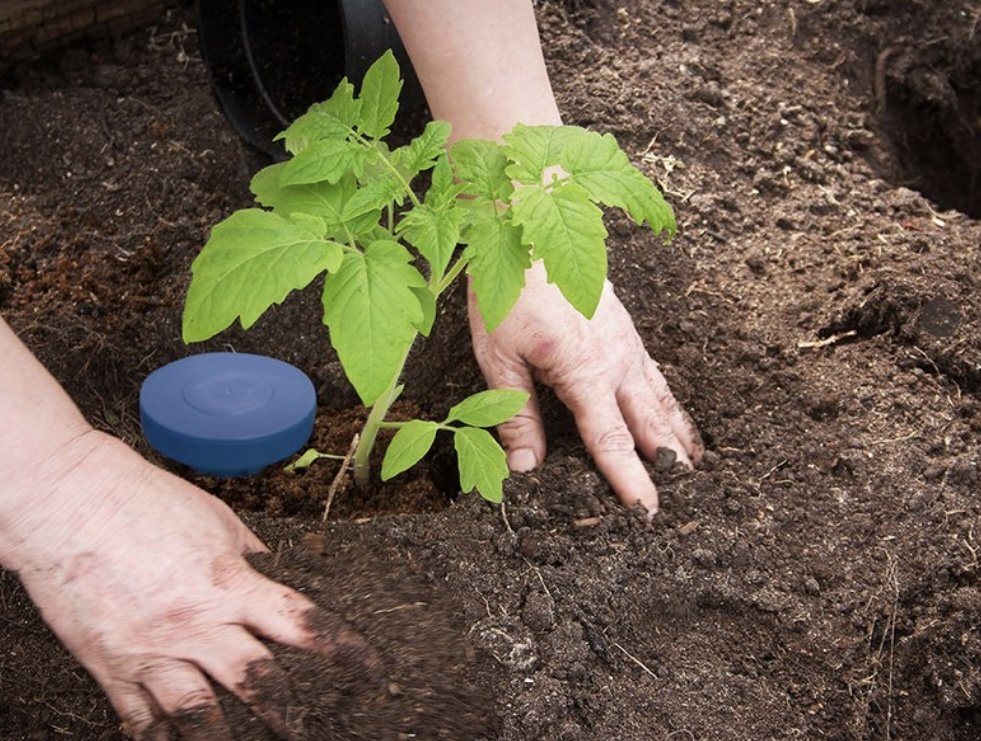 Sensoterra Wireless Soil