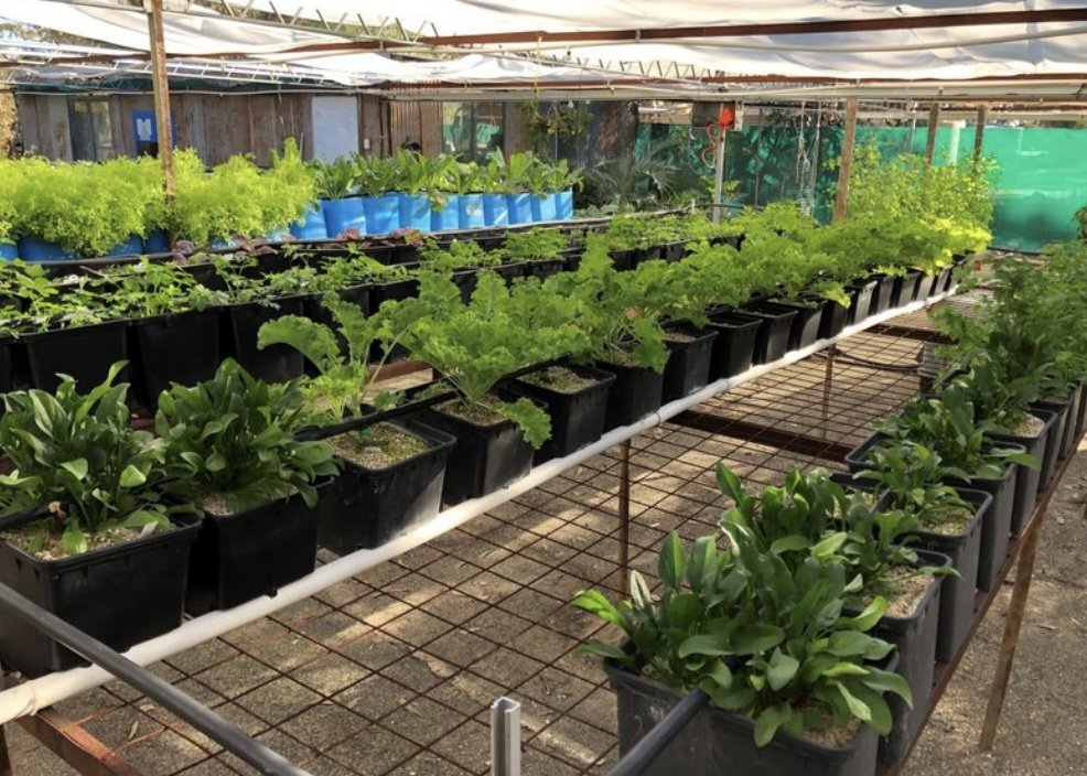 Silica Earth GrowSil
