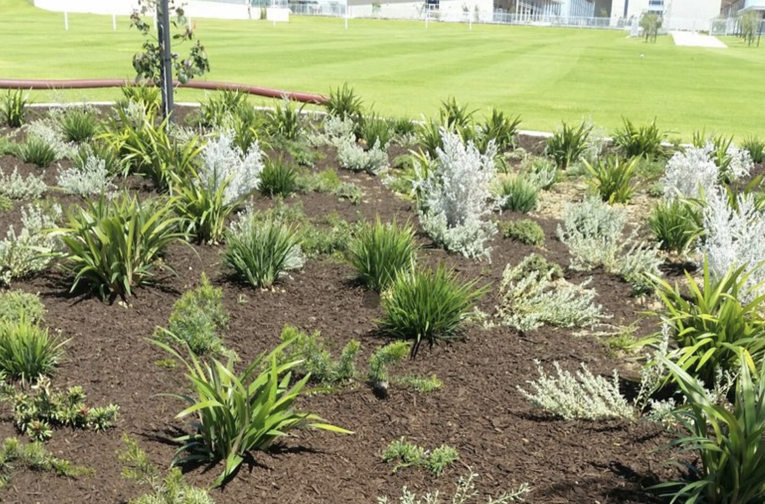 Eclipse Soils Boutique Mulch