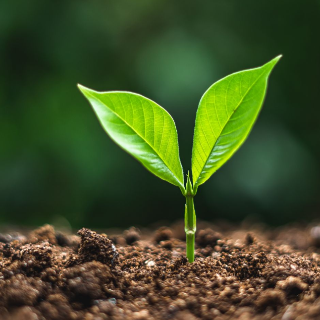 Vitagro Soil Conditioner