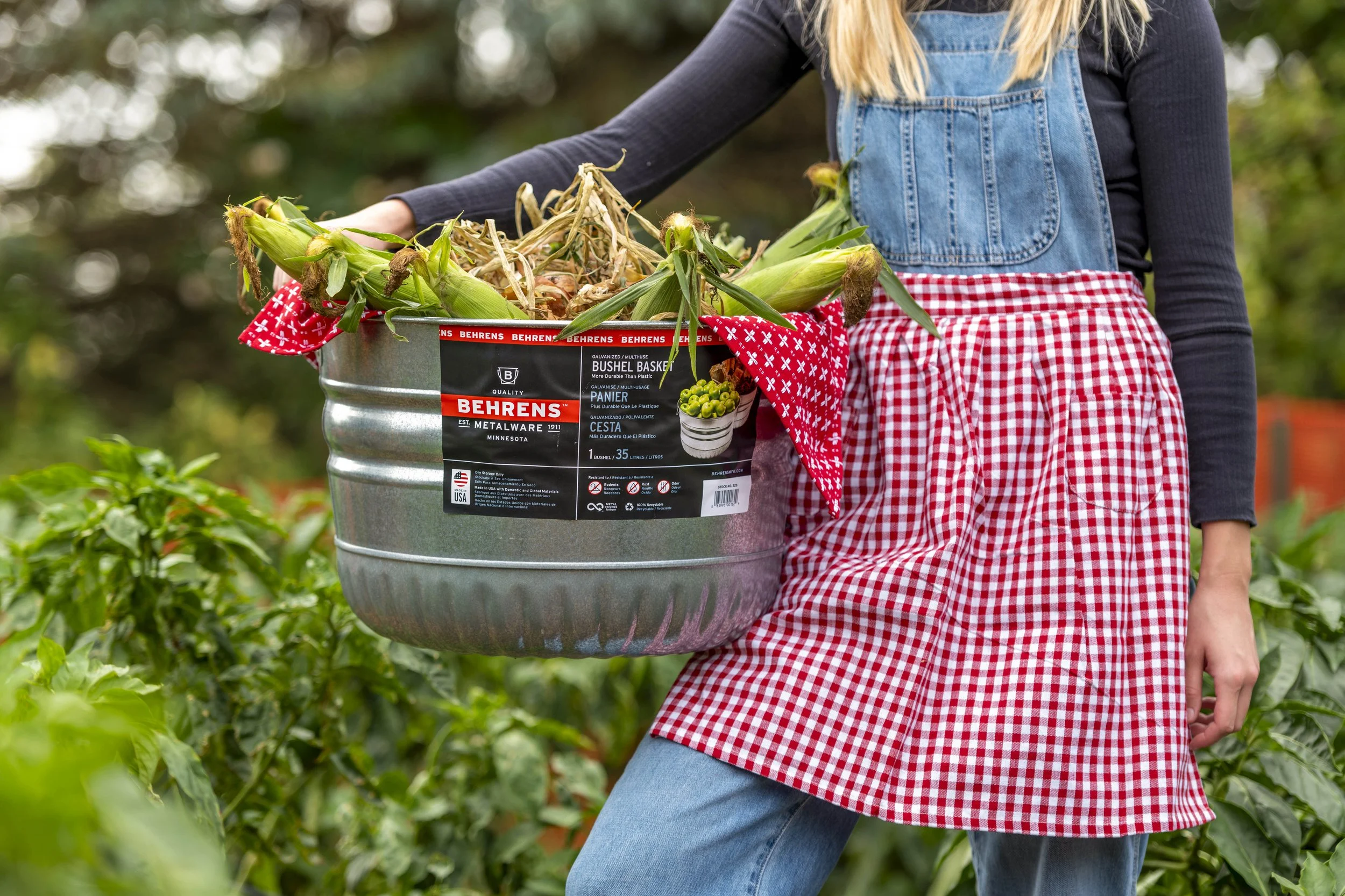 Person holding a metal bucket filled with harvested corn on a farm or garden.