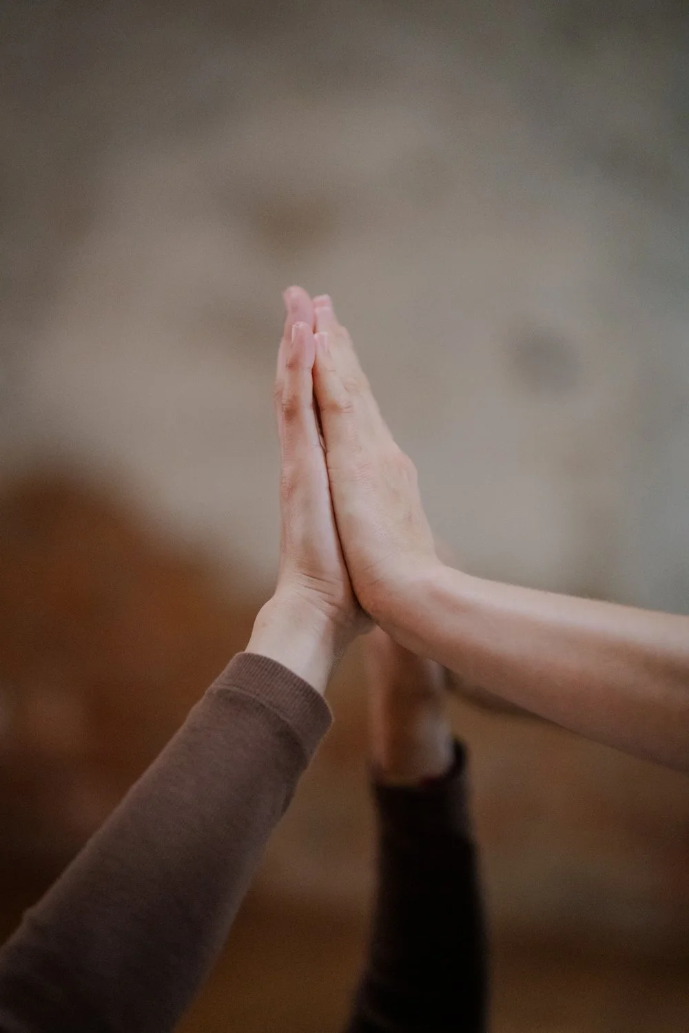 Talea-Schuette-Web-Katharina Gless-7.jpg