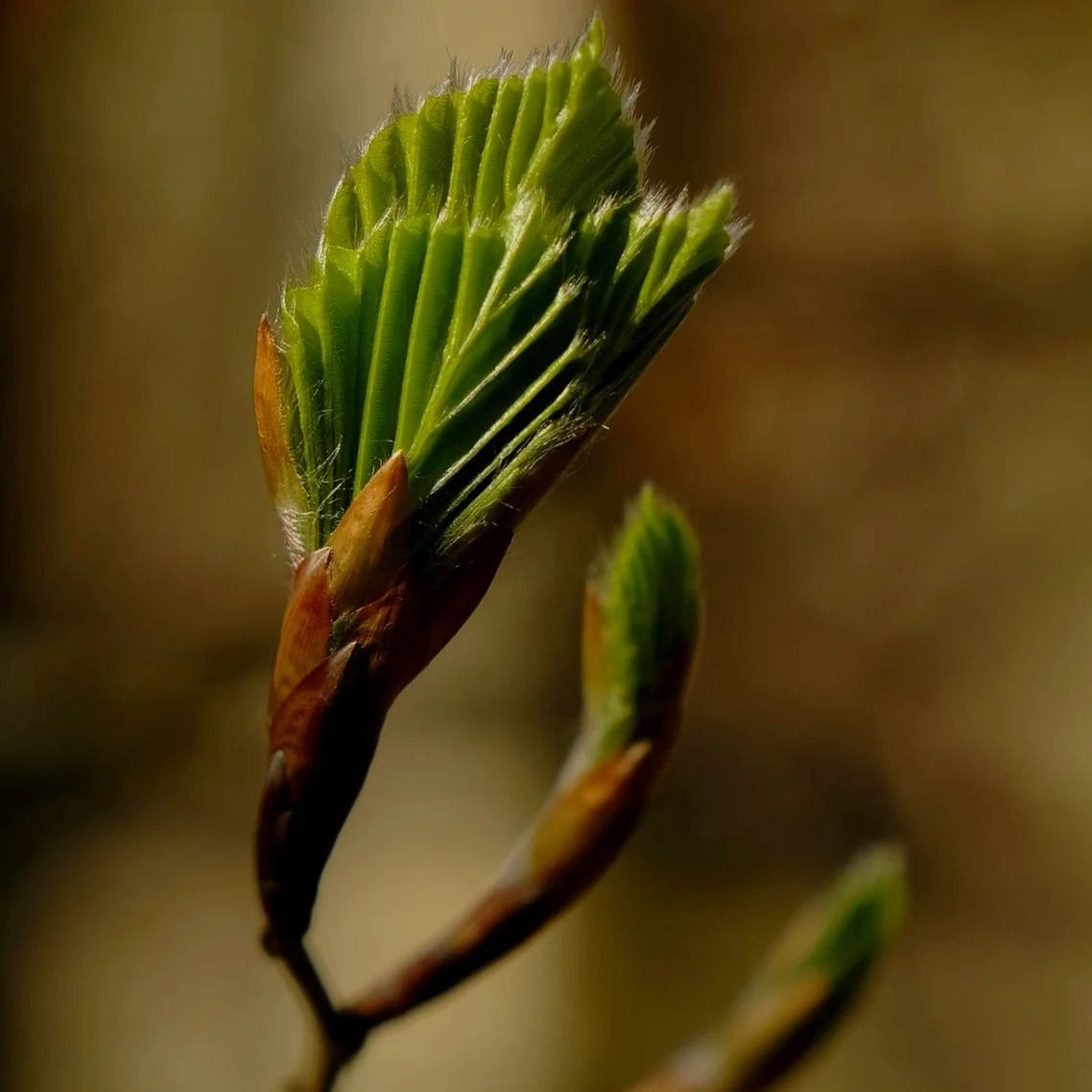 DSCF3454.jpg