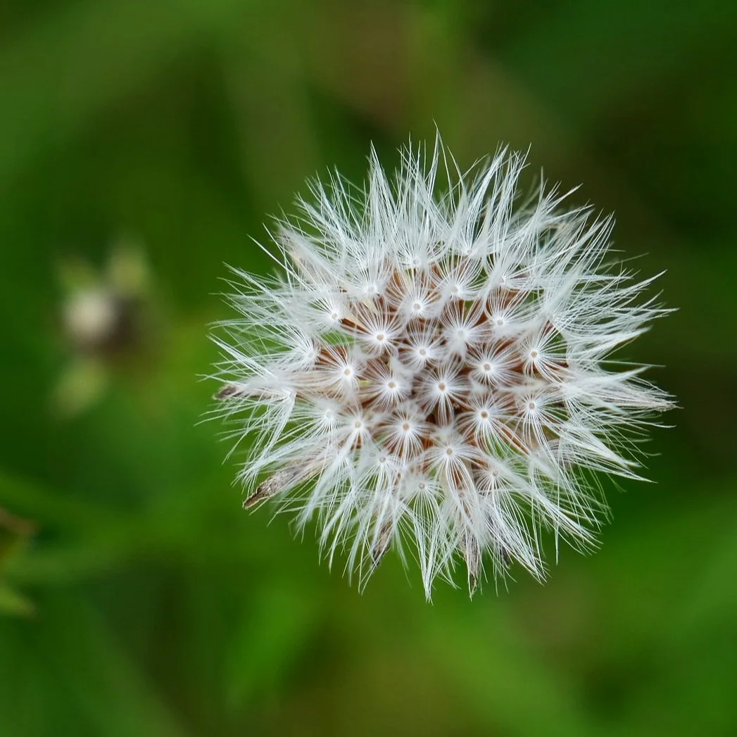 DSCF9898.jpg