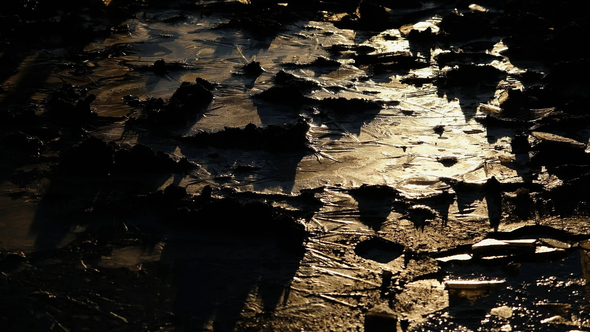 DSCF2536.jpg