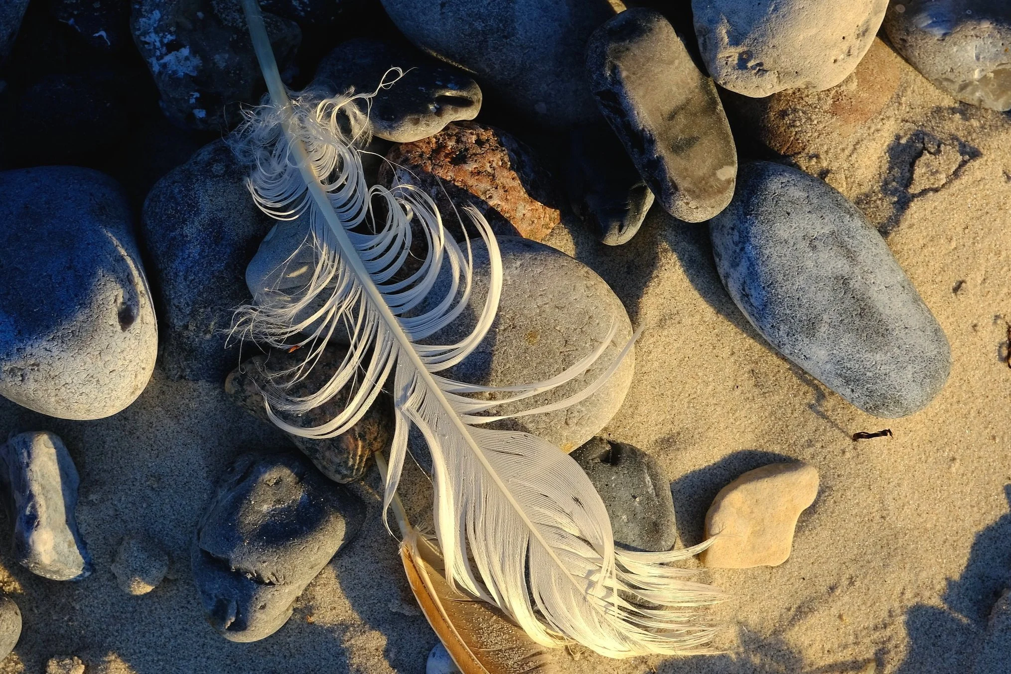 DSCF8609.jpg