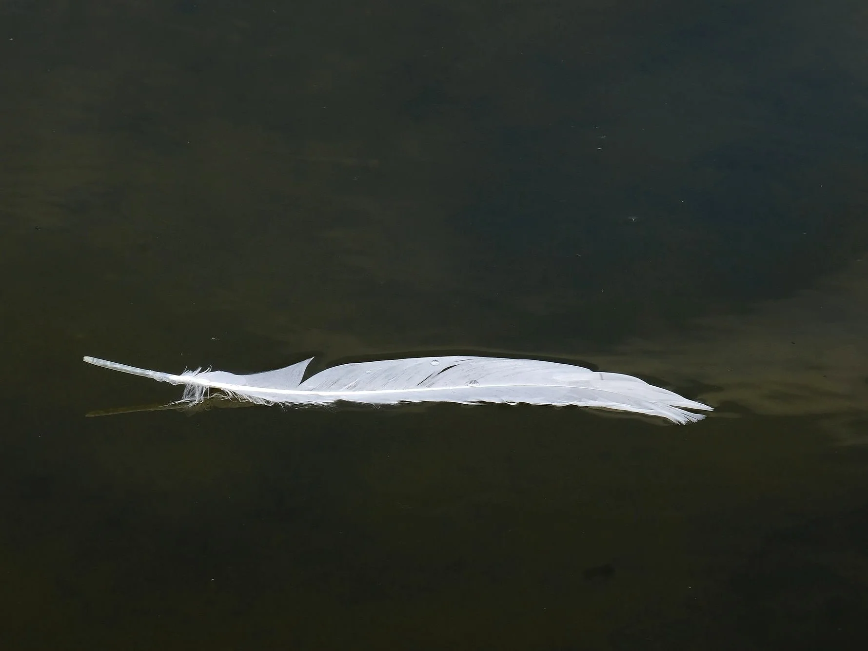 DSCF4807.jpg