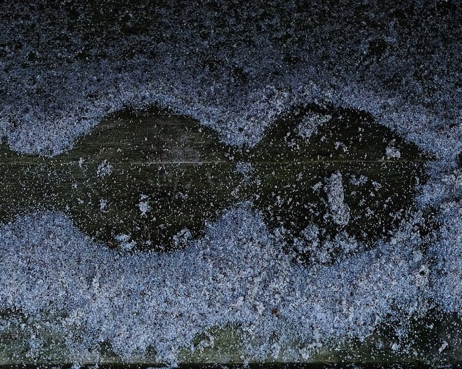 DSCF8792.jpg