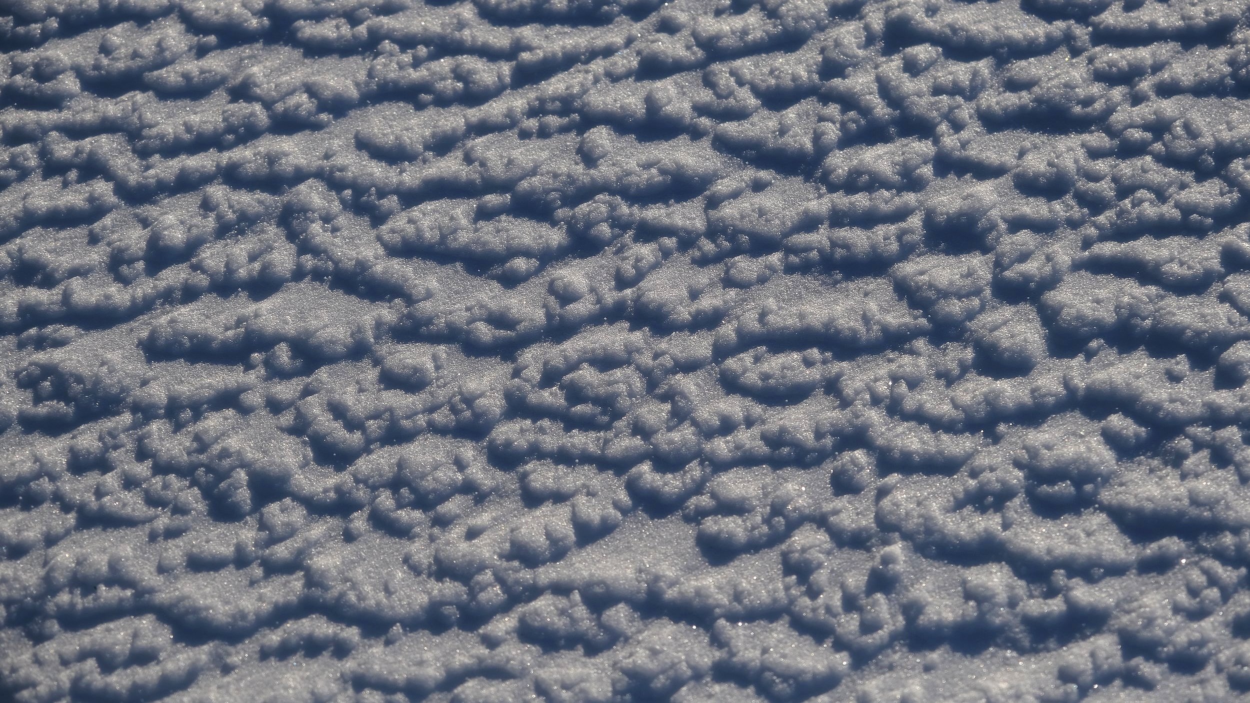 DSCF2343.jpg