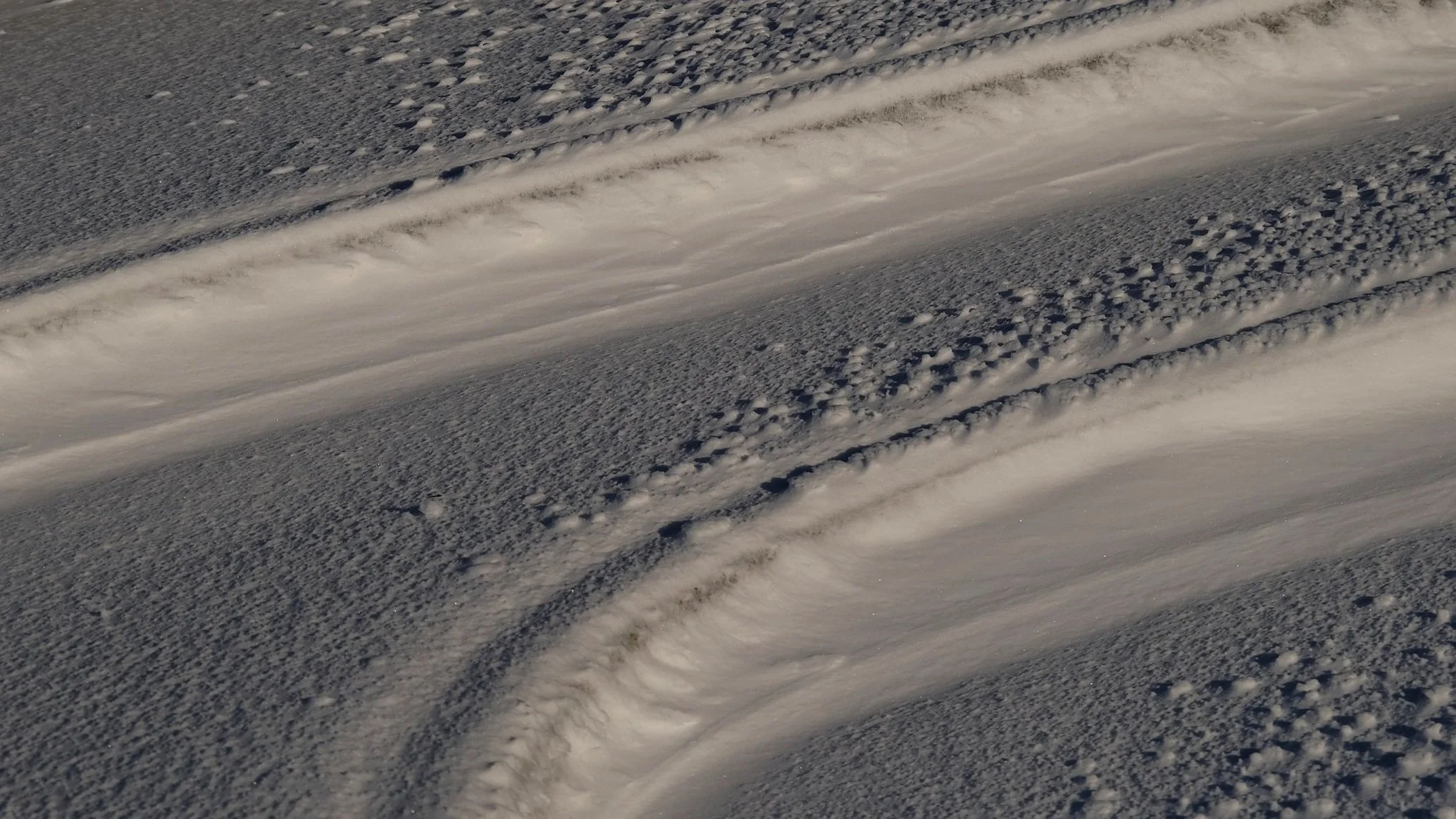 DSCF2341.jpg