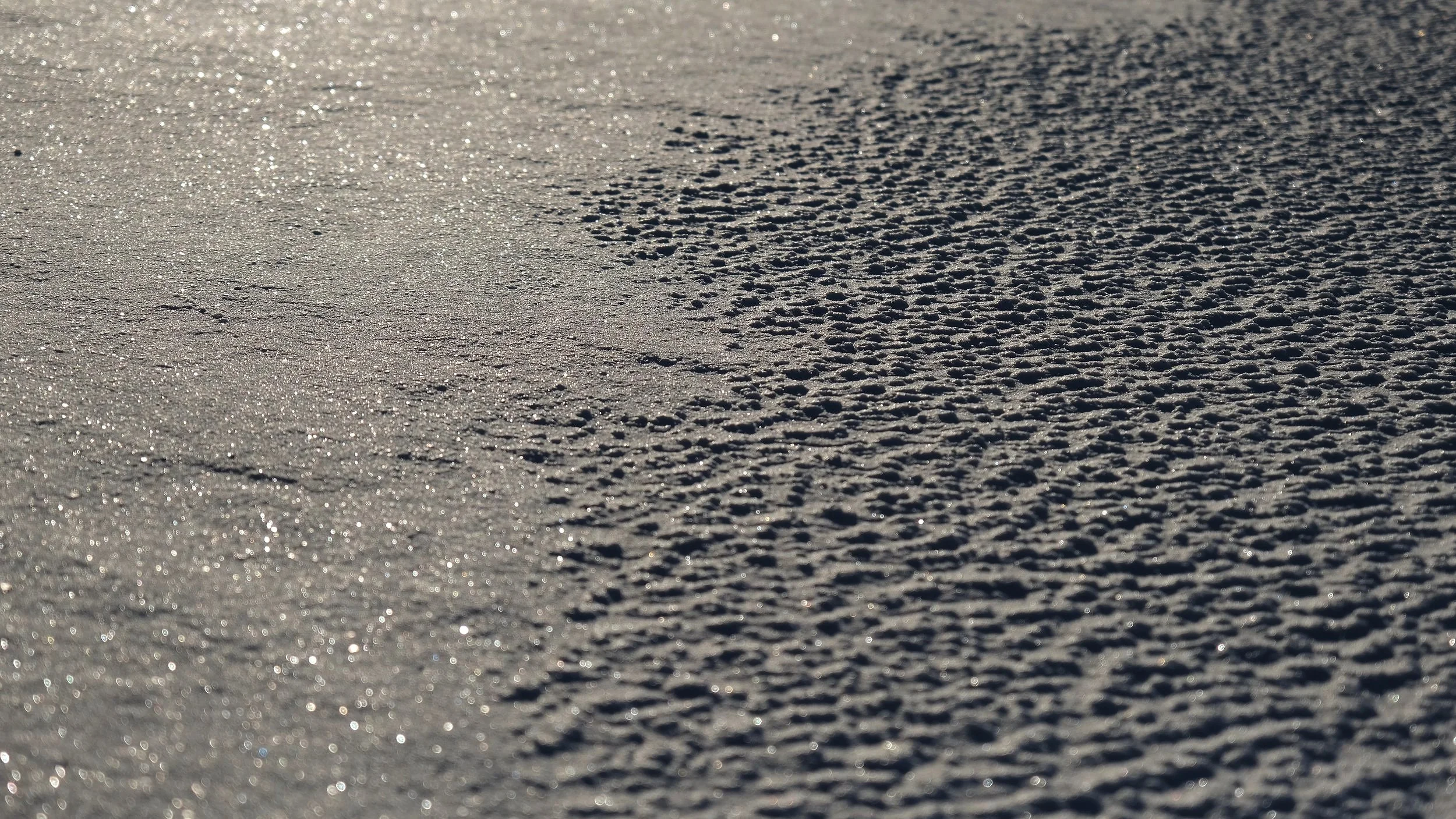DSCF2346.jpg