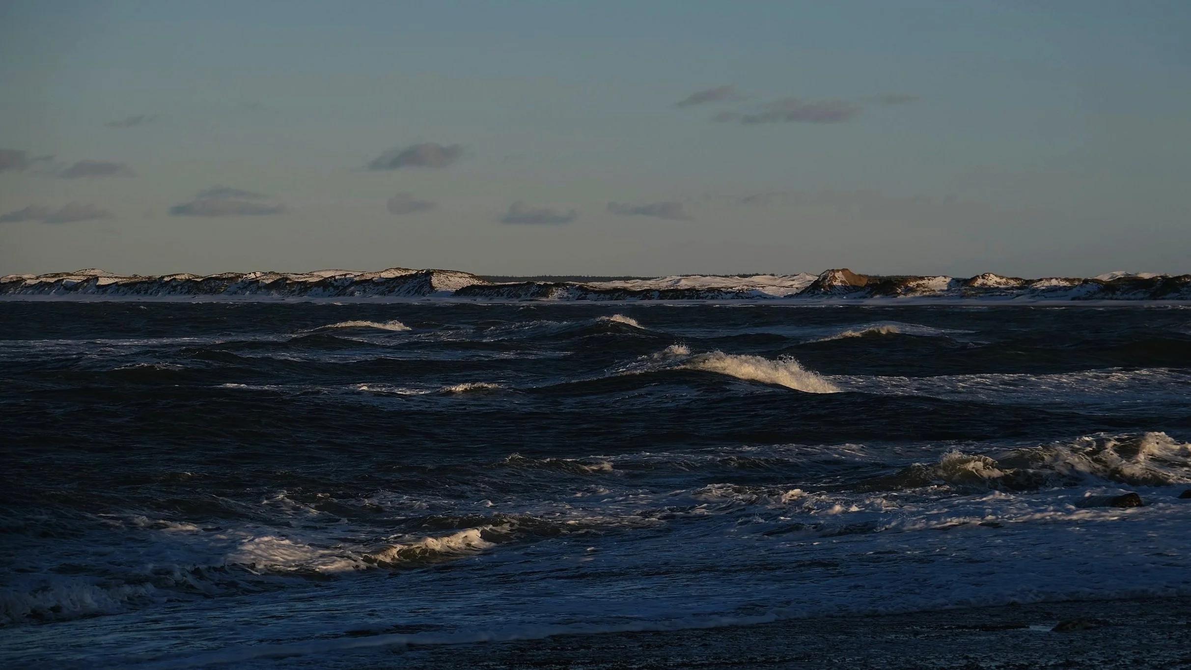 DSCF2380.jpg