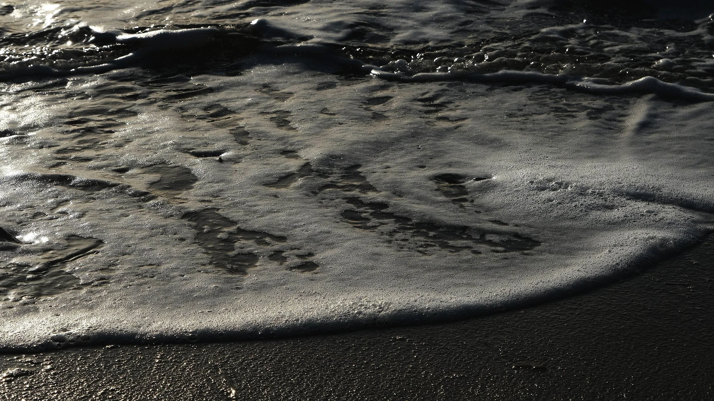 DSCF2629.jpg