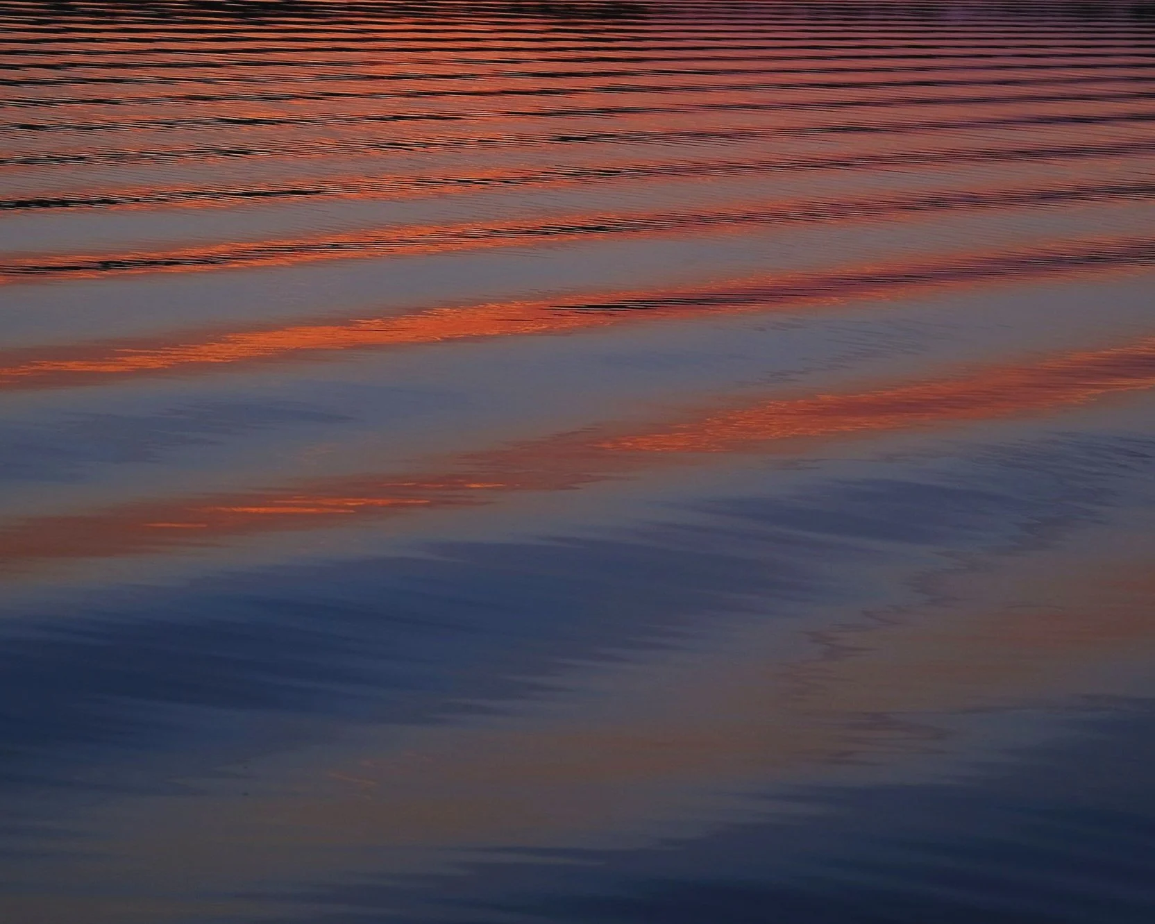 DSCF5194.jpg