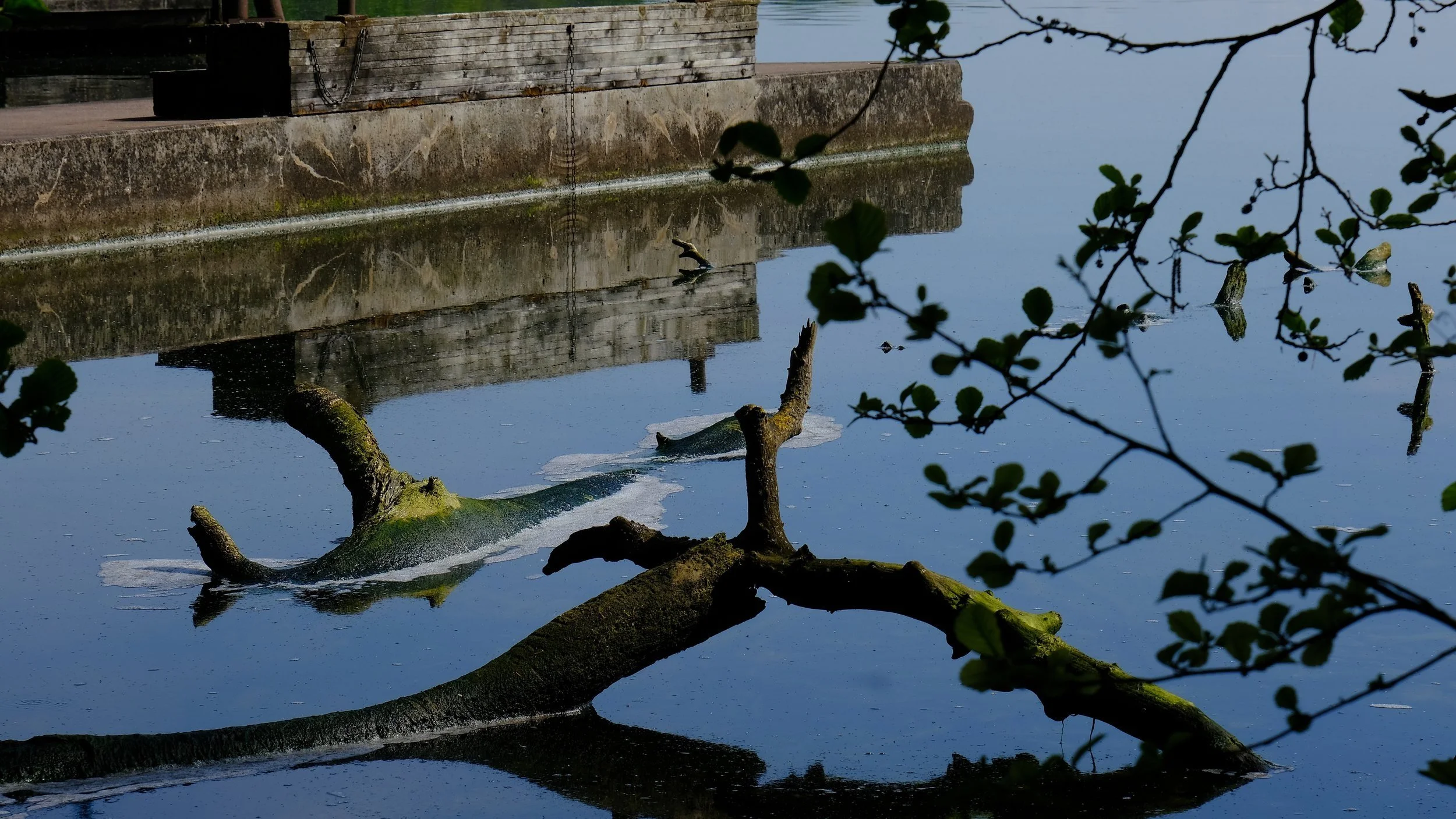 DSCF8253.jpg