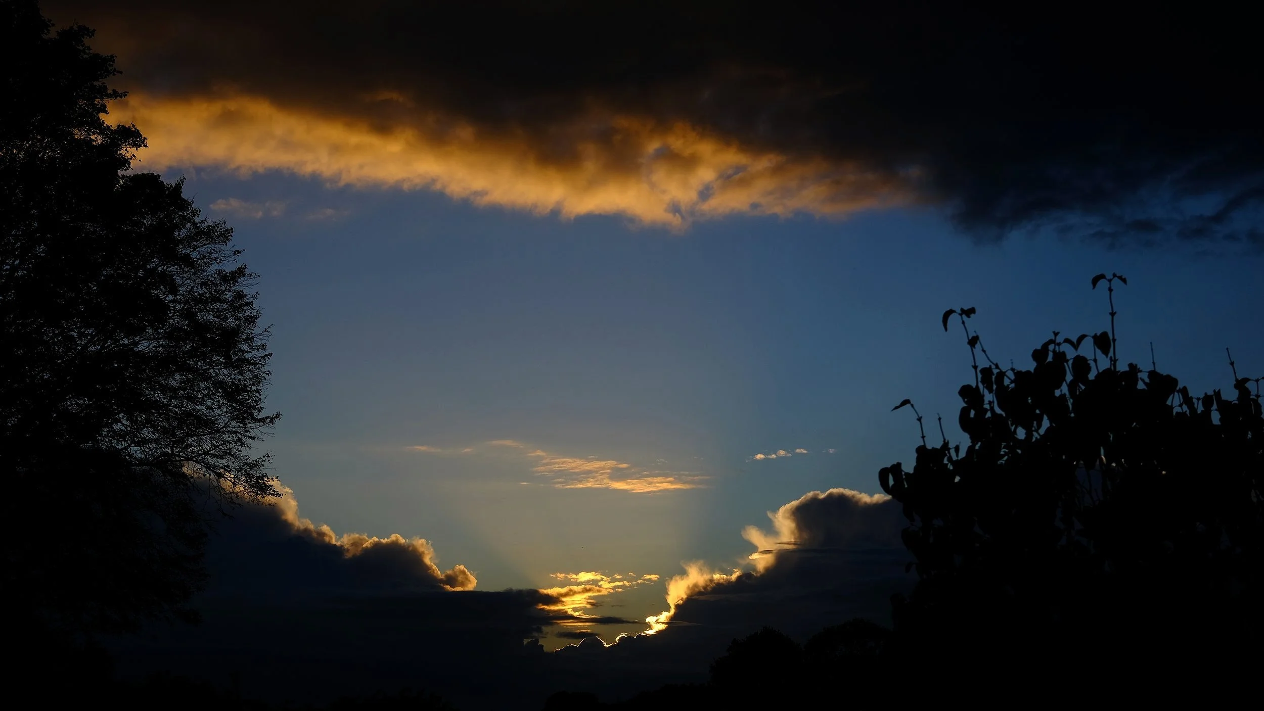 DSCF6630.jpg