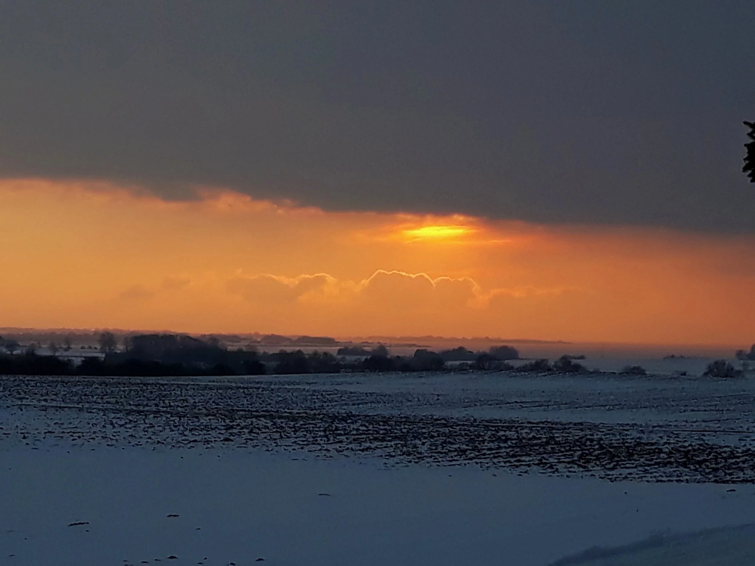 20180303_172424.jpg
