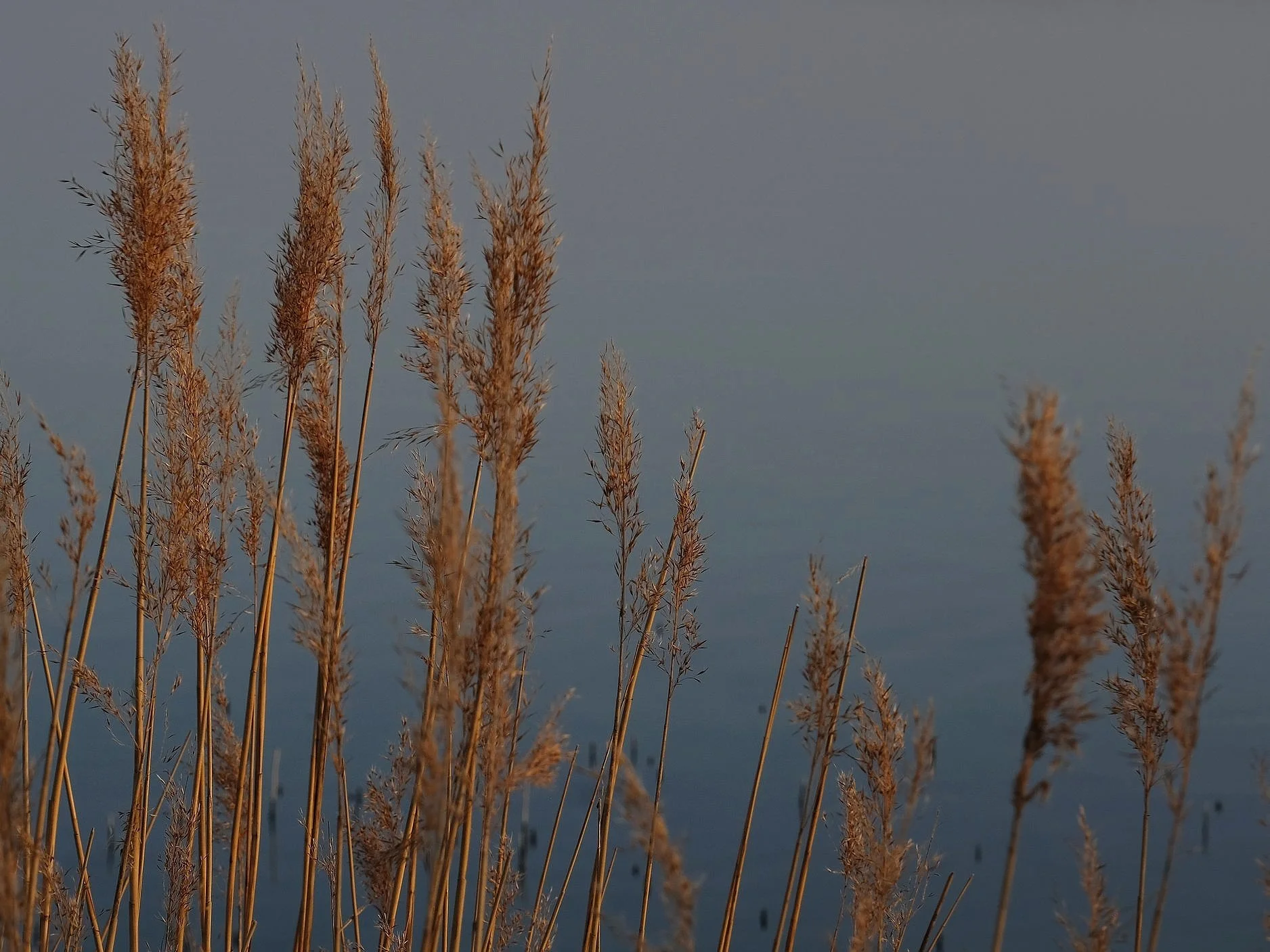 DSCF3127.jpg