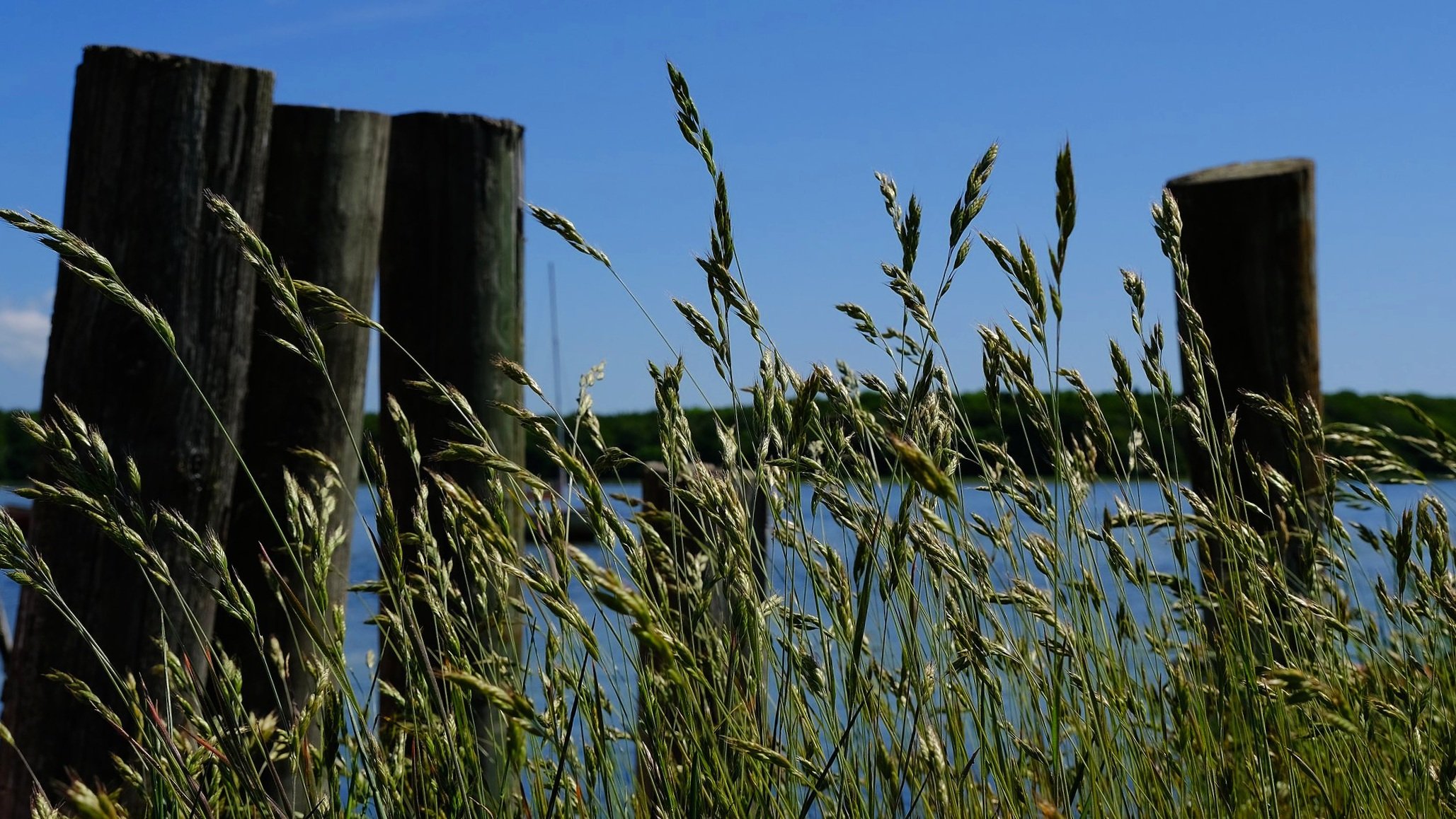 DSCF8397.jpg
