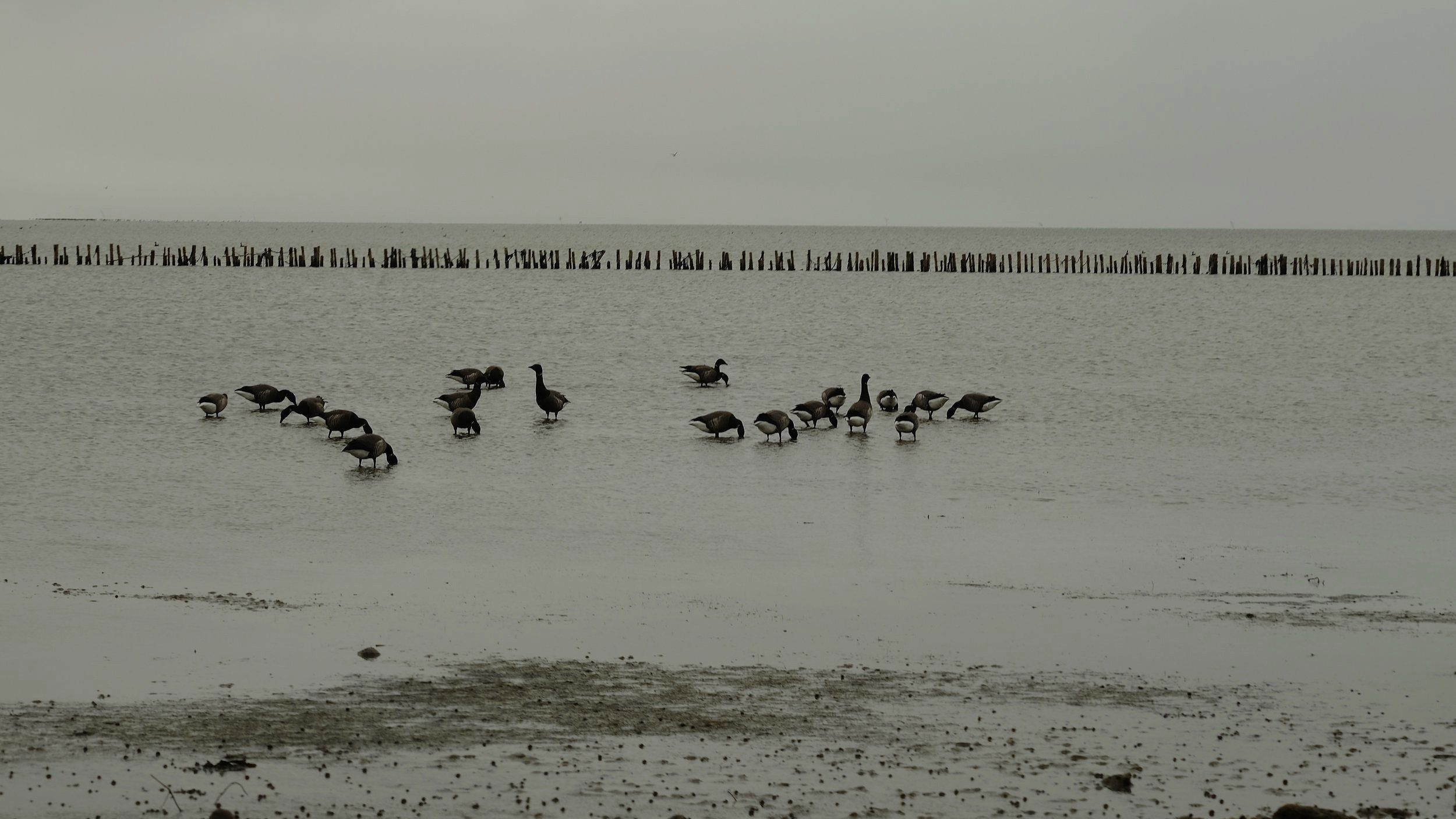 DSCF3223.jpg