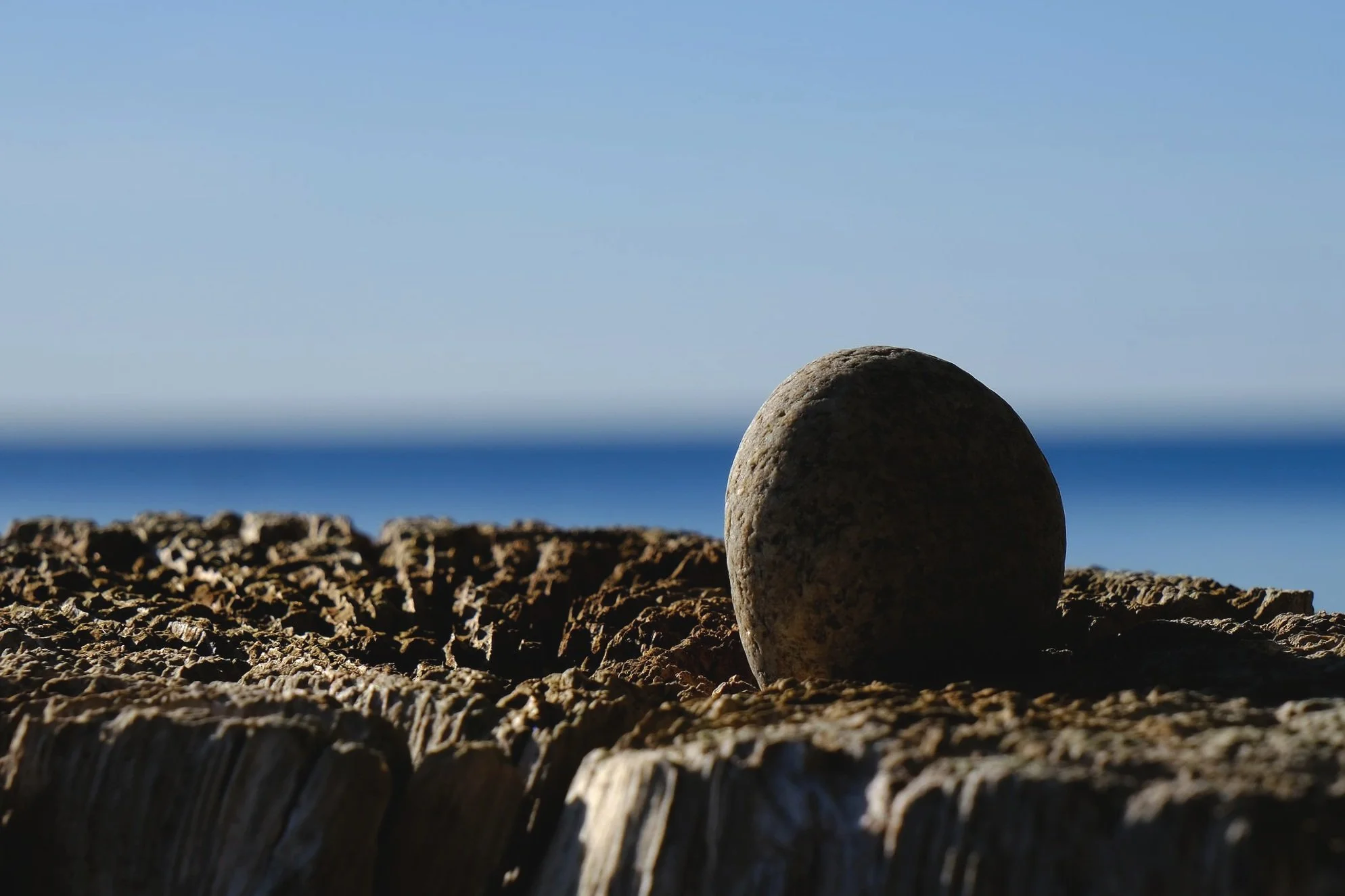 DSCF6490.jpg