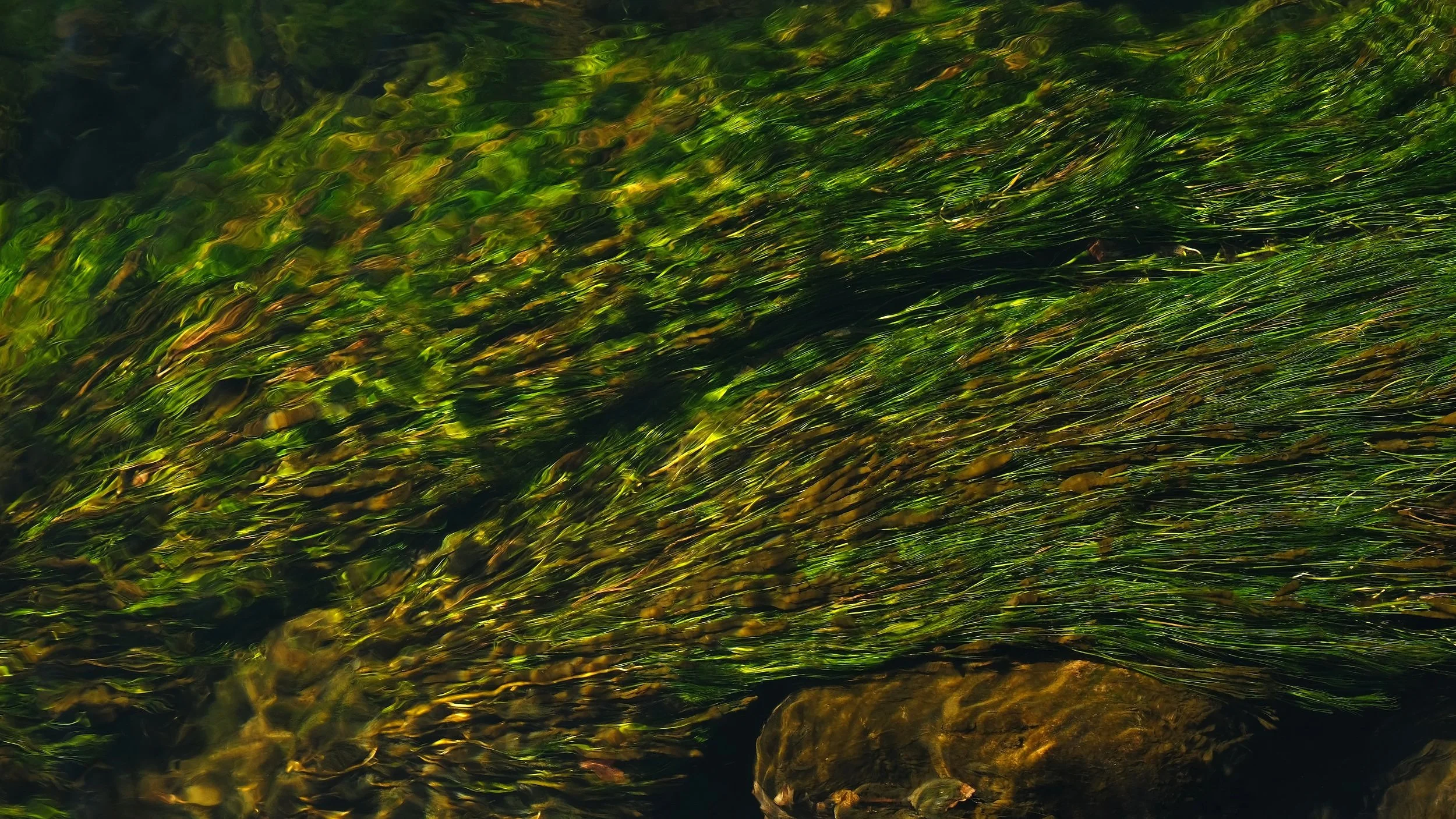 DSCF3180.jpg