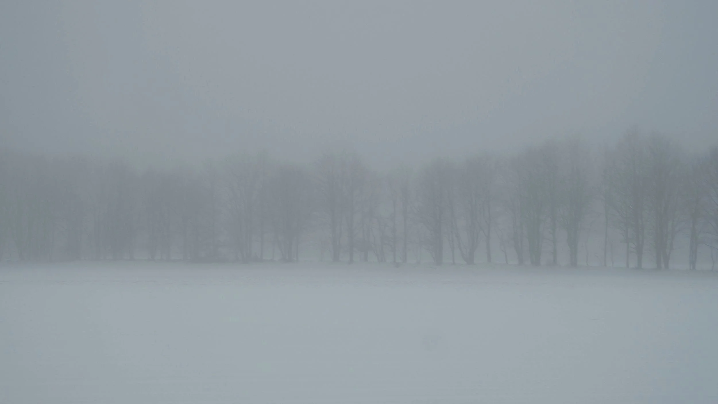 DSCF2465.jpg