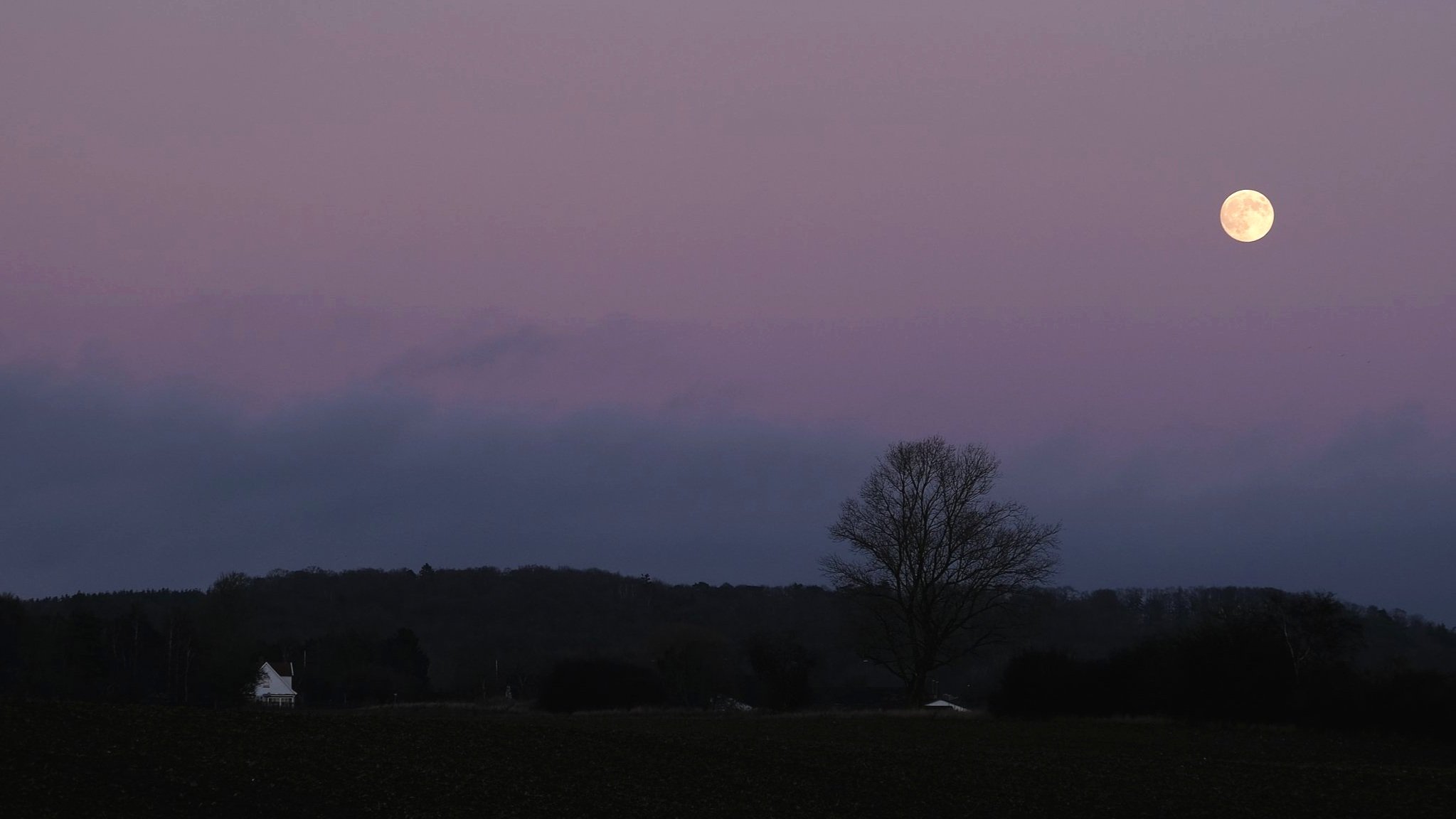 DSCF2524.jpg
