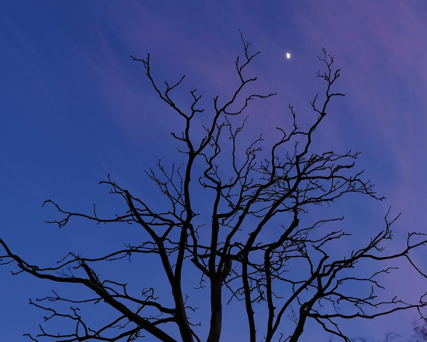 DSCF2804.jpg
