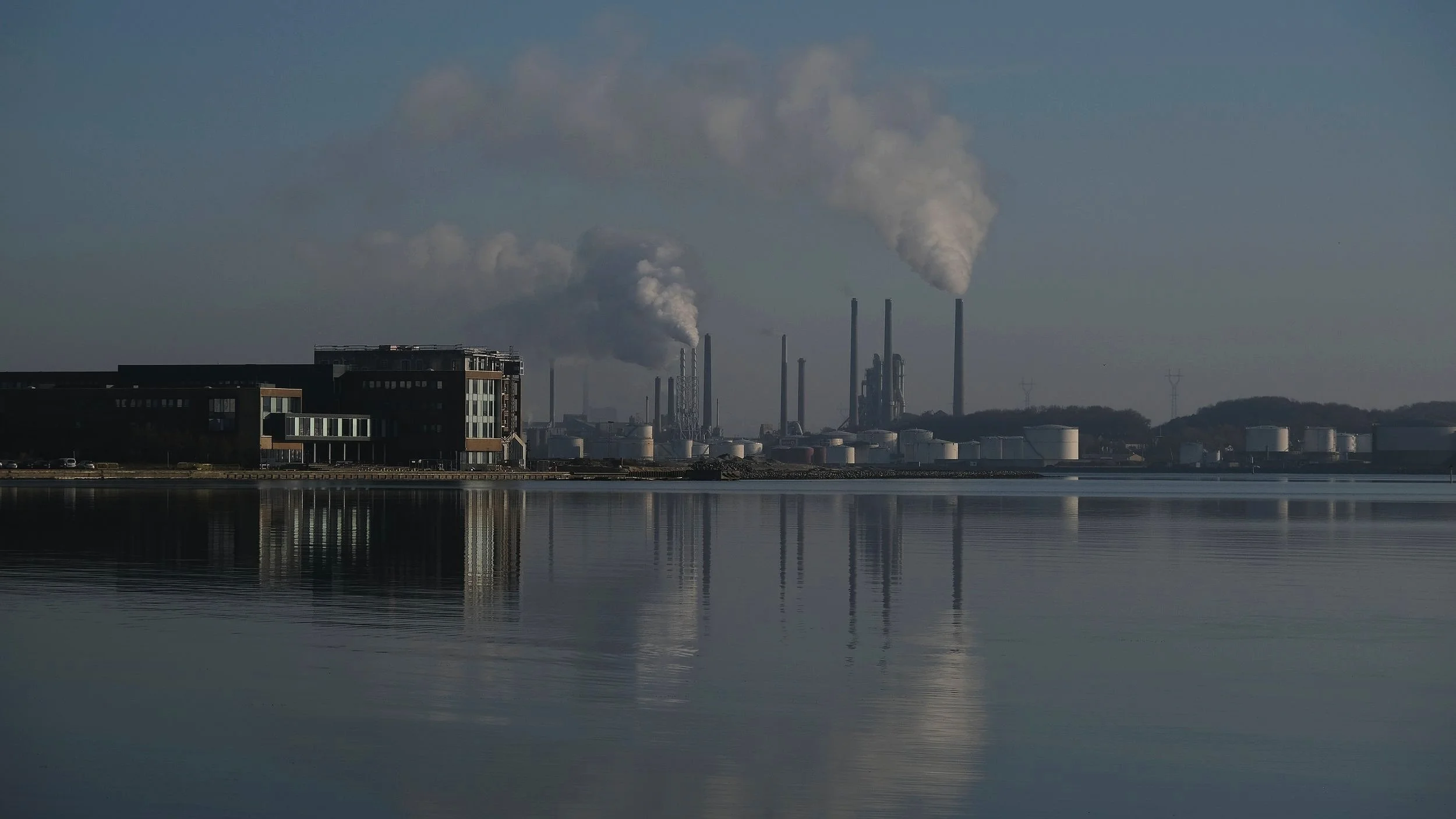 DSCF2174.jpg