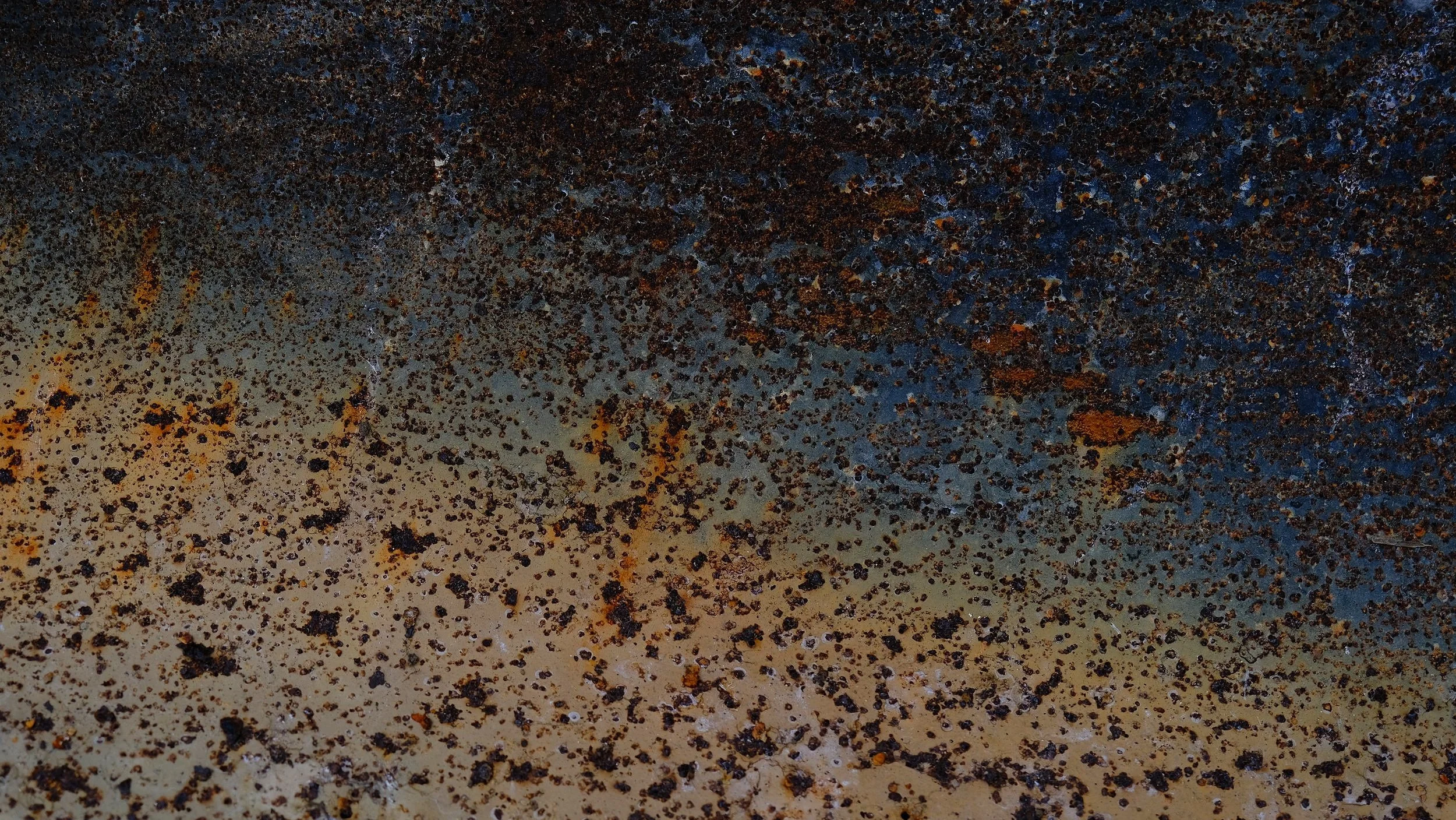 DSCF6388.jpg