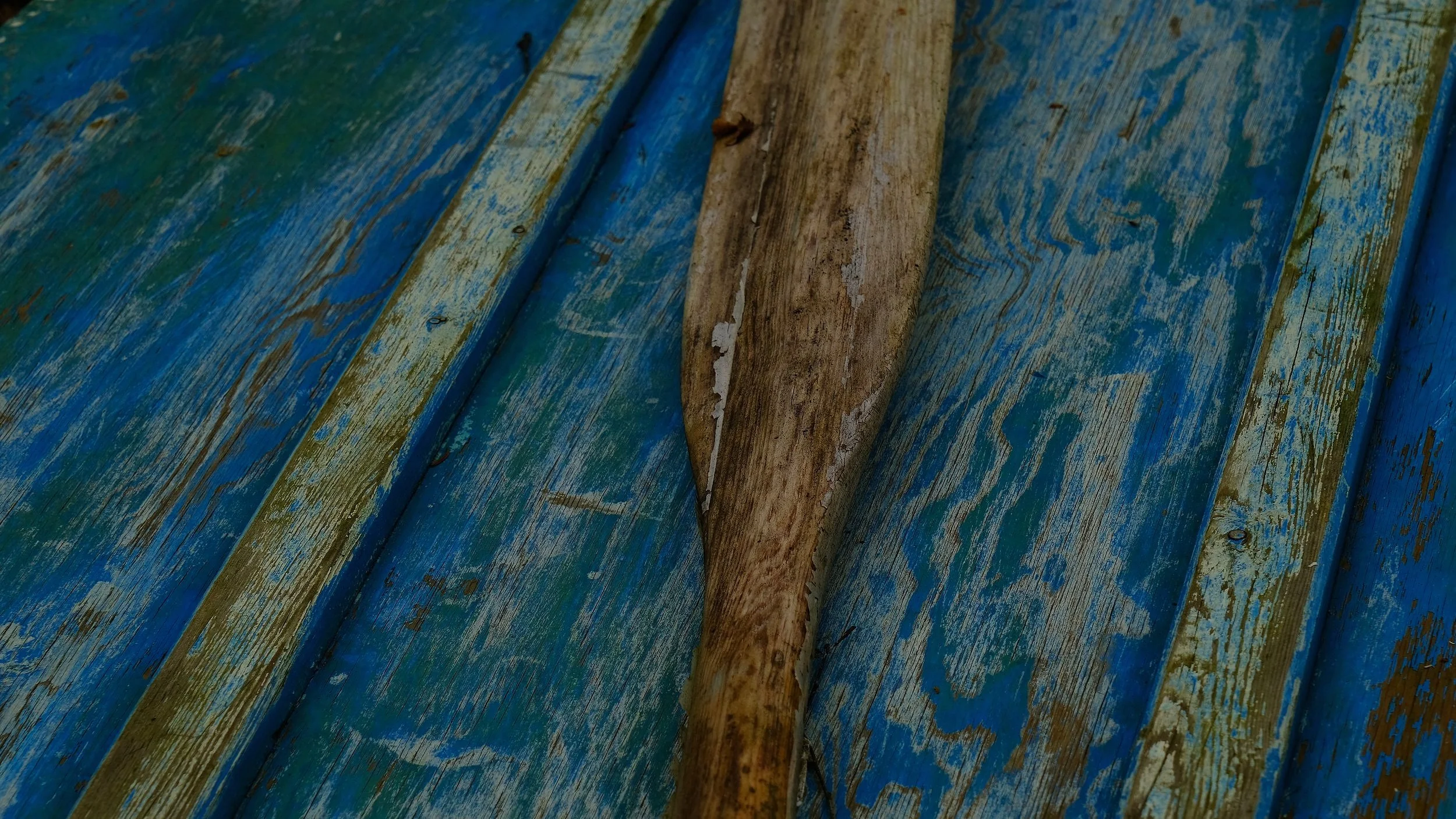 DSCF8197.jpg
