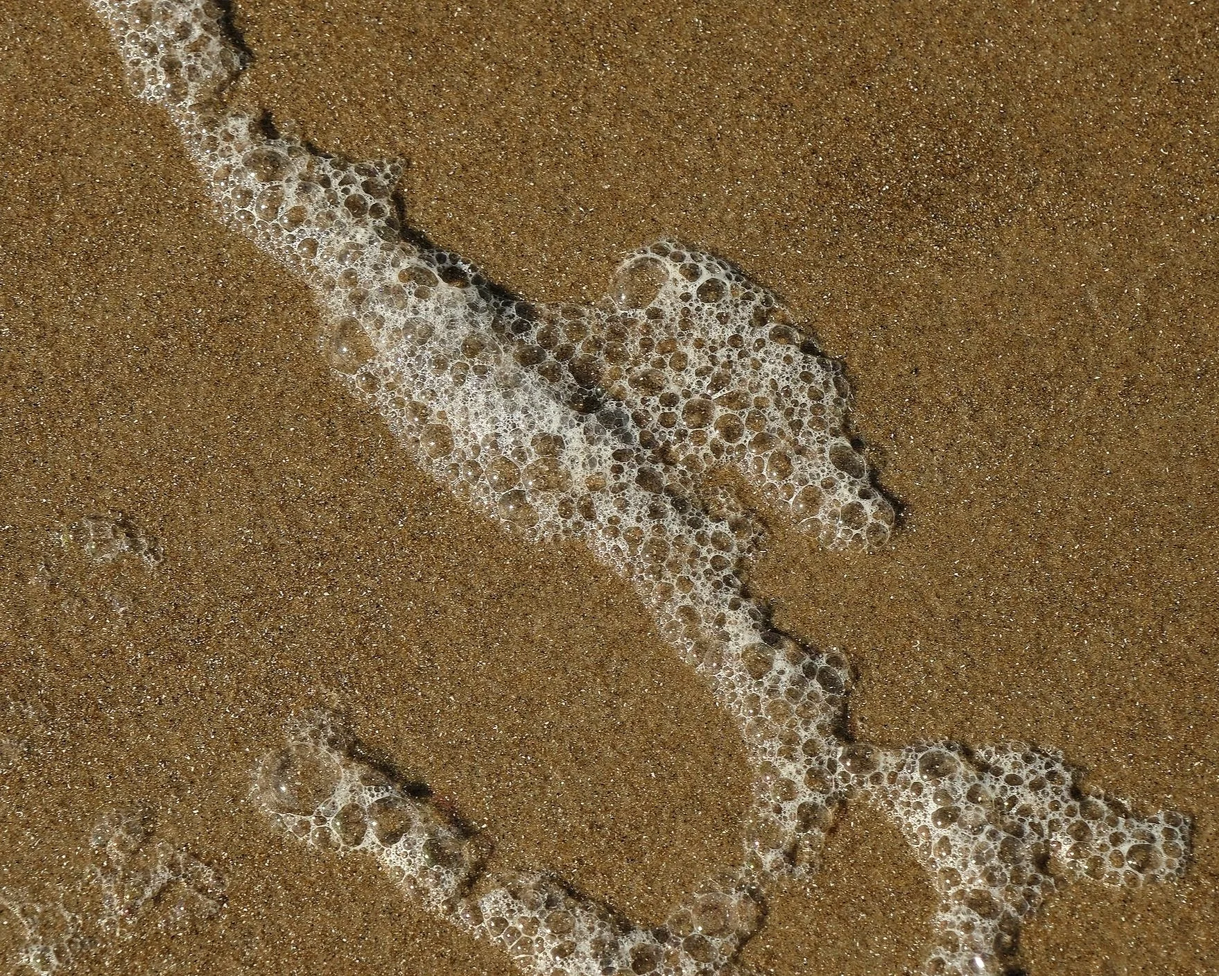 DSCF3266.jpg