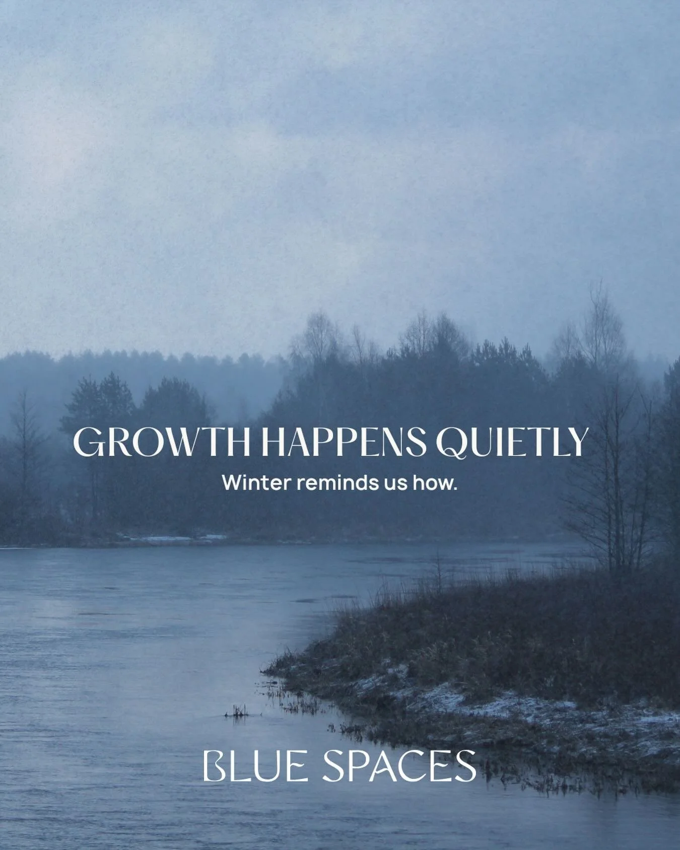 ✨ Reflections on Wintering ✨

Winter invites us to follow nature&rsquo;s lead, to soften inward, to rest, to pause. In these quieter spaces, growth begins to take shape beneath the surface.

Over the past few weeks, I&rsquo;ve been exploring practice