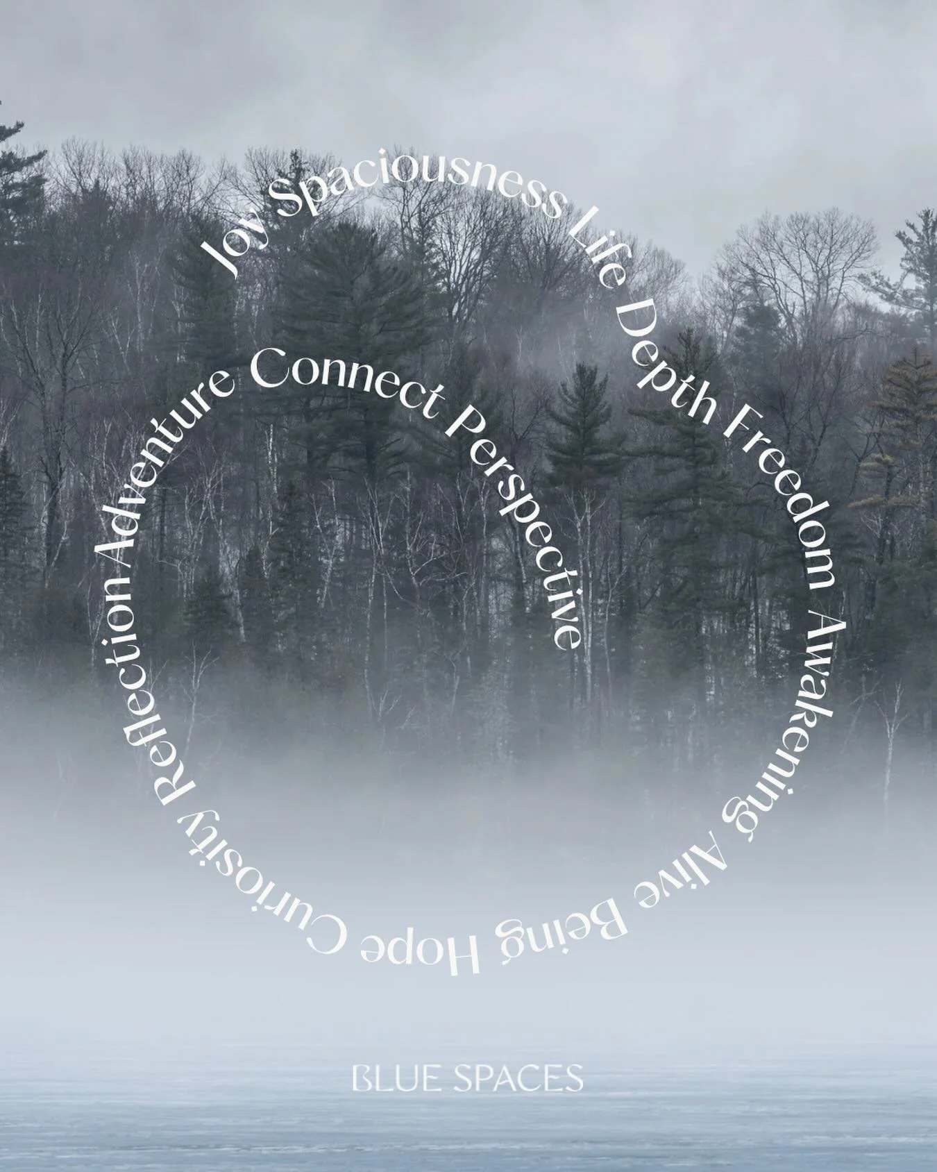 Just a wee reminder that this coming Sunday (21st), at 6pm, we&rsquo;re gathering on Zoom for our &ldquo;Wintering in Practice&rdquo;a free Yin + Restorative Practice. The intention is to create a gentle space to soften and slow down.

It&rsquo;s a n