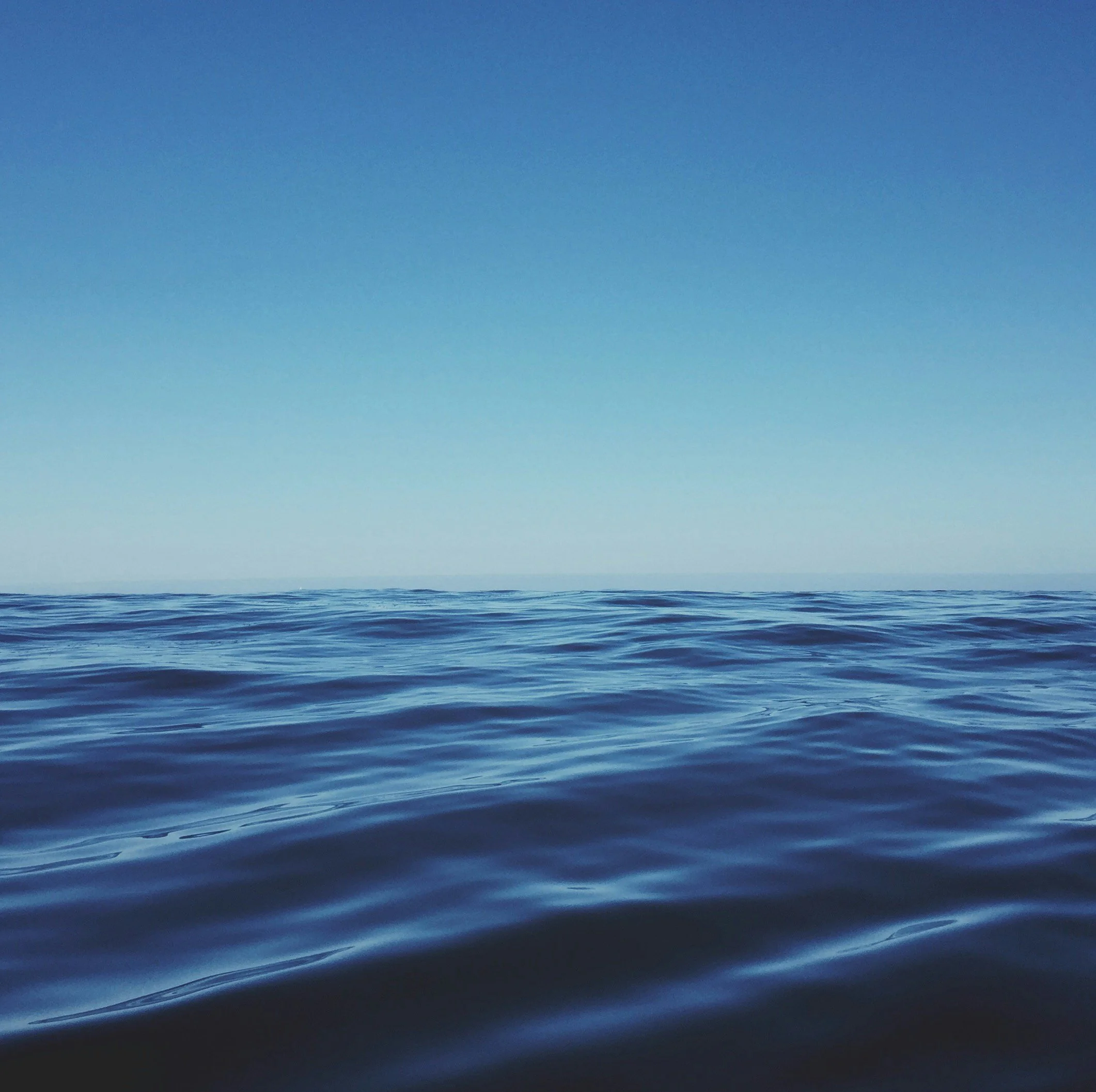 Open ocean with calm water and clear sky in the background.