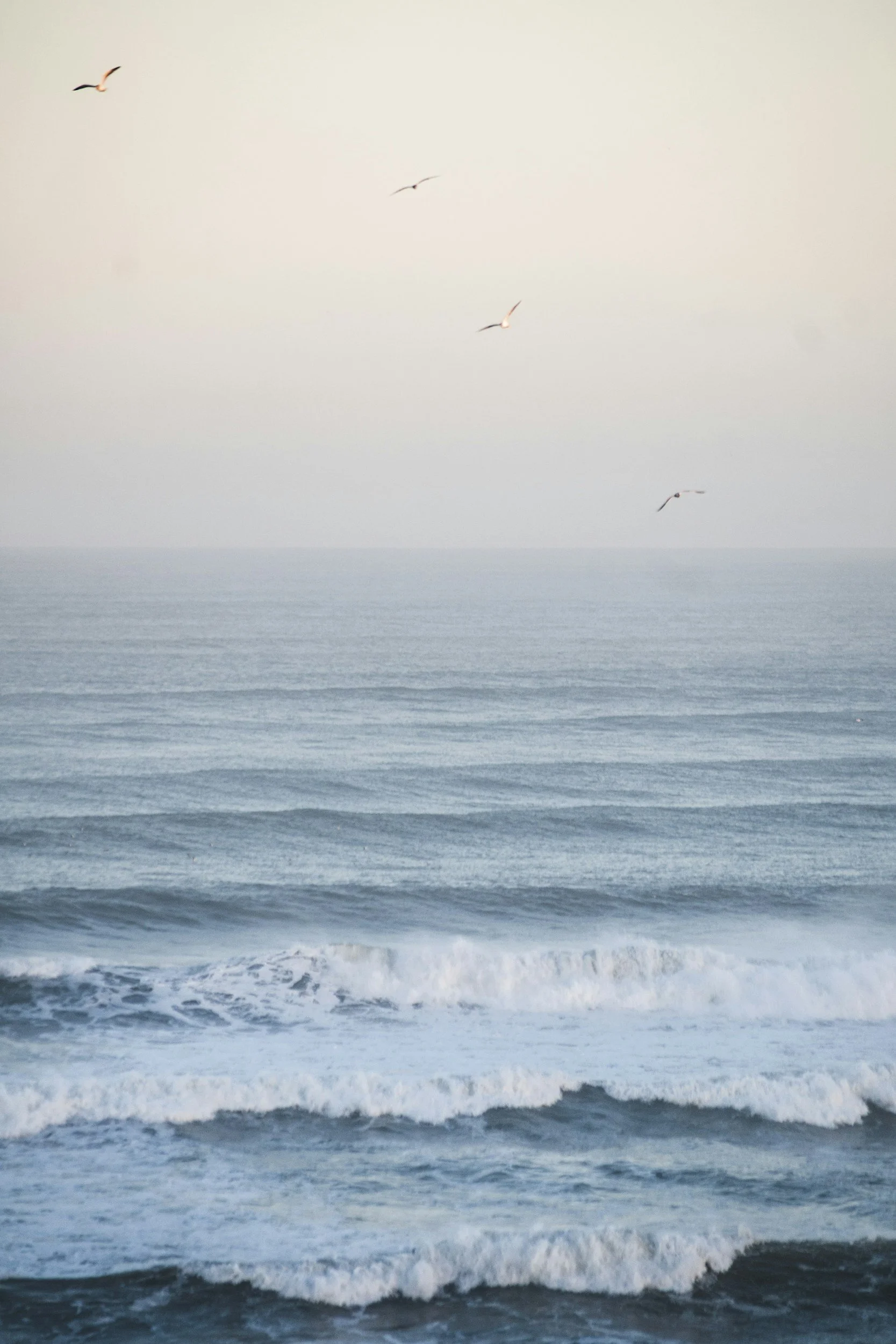 View of the ocean with gentle waves and a clear sky, with five seagulls flying in the distance.