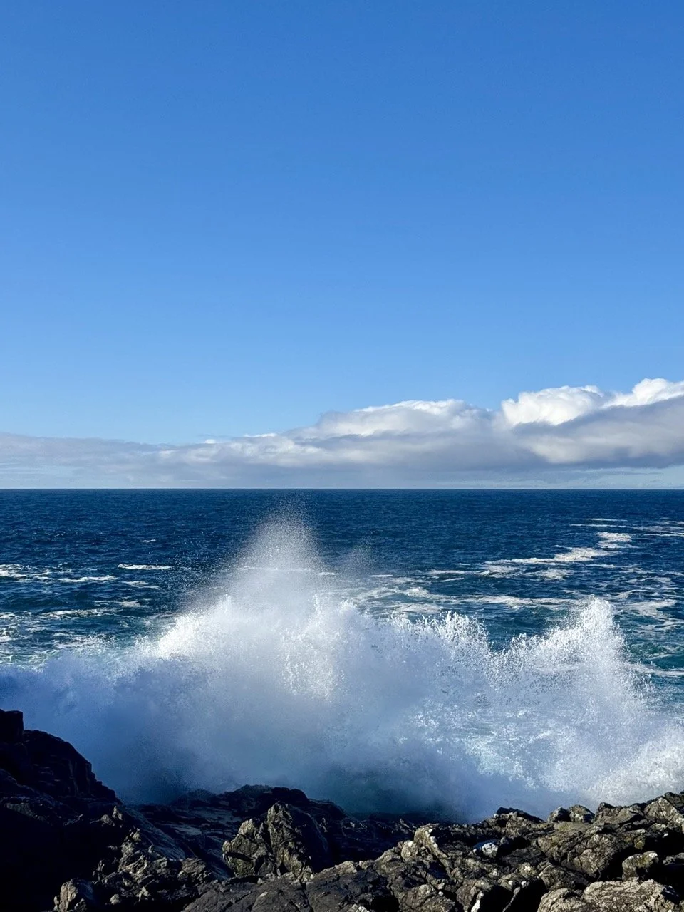 IMG_0126 2 Large.jpeg