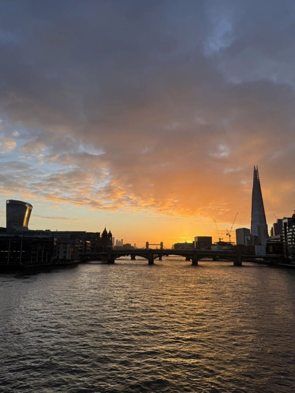 IMG_9967 2 Large.jpeg