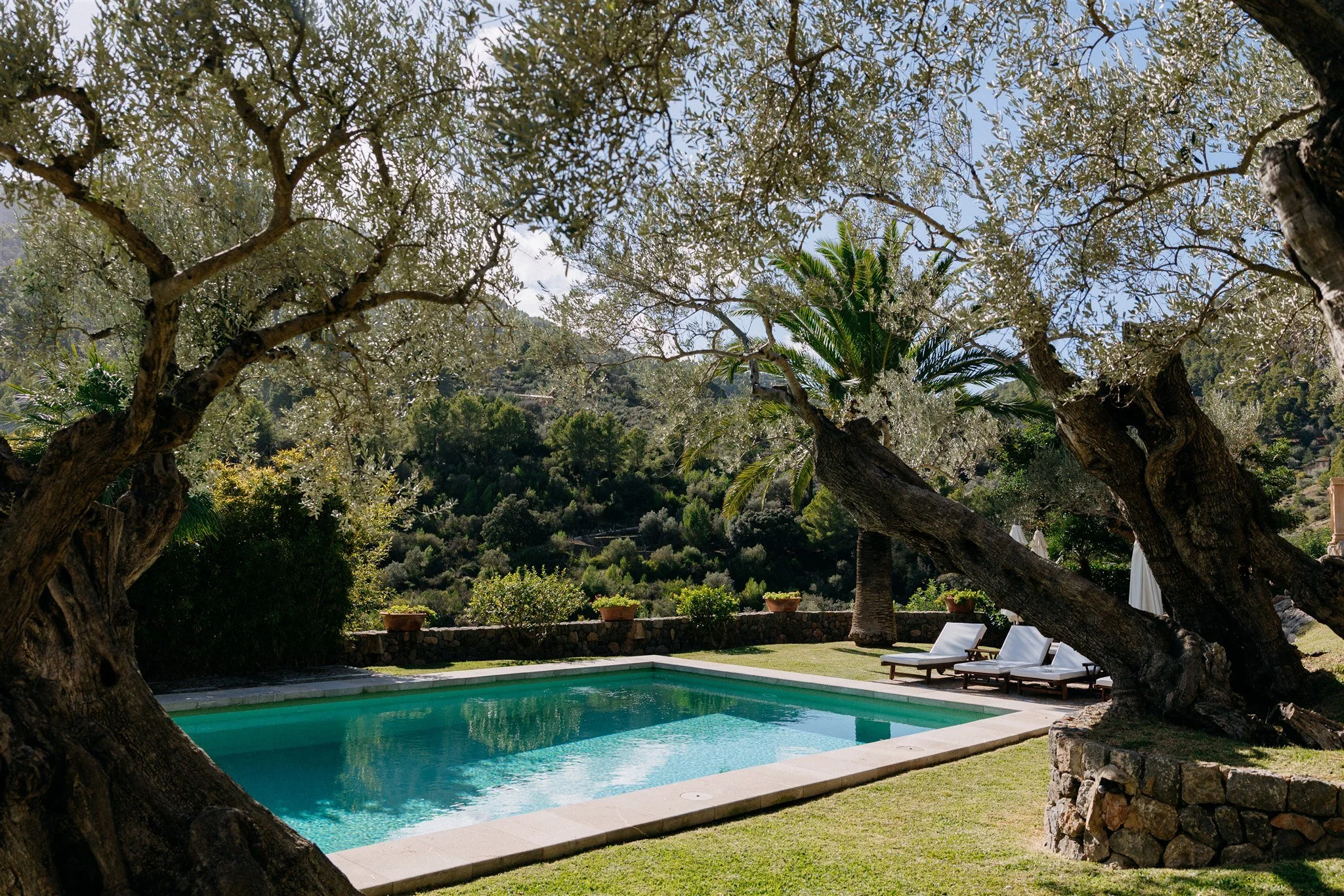 What Does a Reset Actually Look Like?