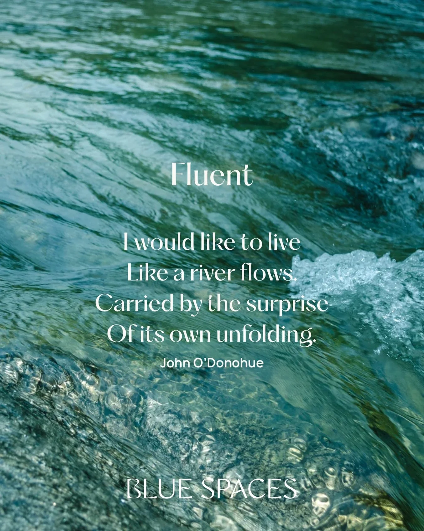 Maybe don&rsquo;t need more effort&hellip; maybe you just need the right conditions. If you&rsquo;re tired of pushing for change coaching might be the place where the right conditions are cultivated. 

Water doesn&rsquo;t force, it allows. We follow 