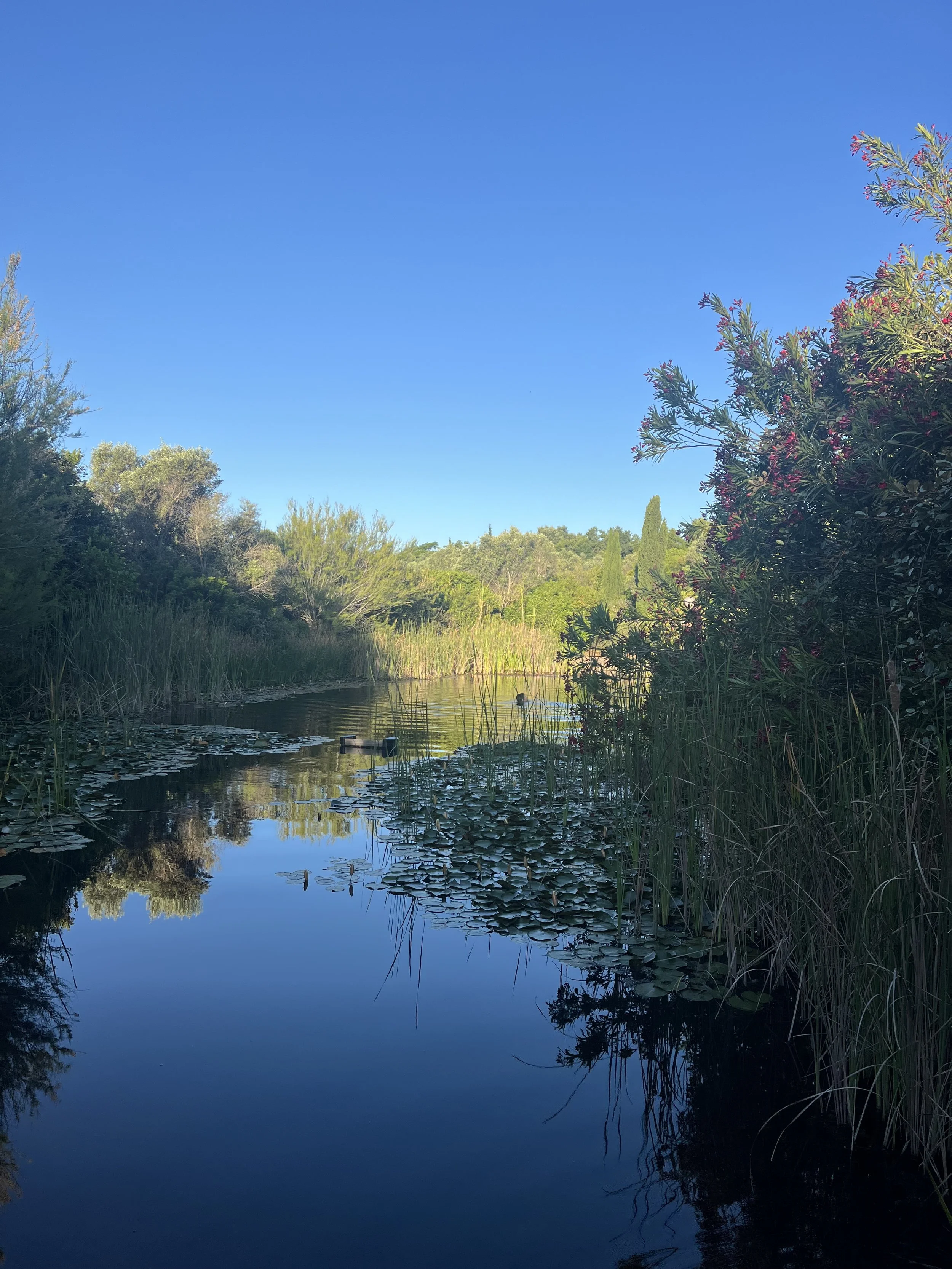 When Therapy and Coaching Meet: Reflections from Our Tavira Retreat