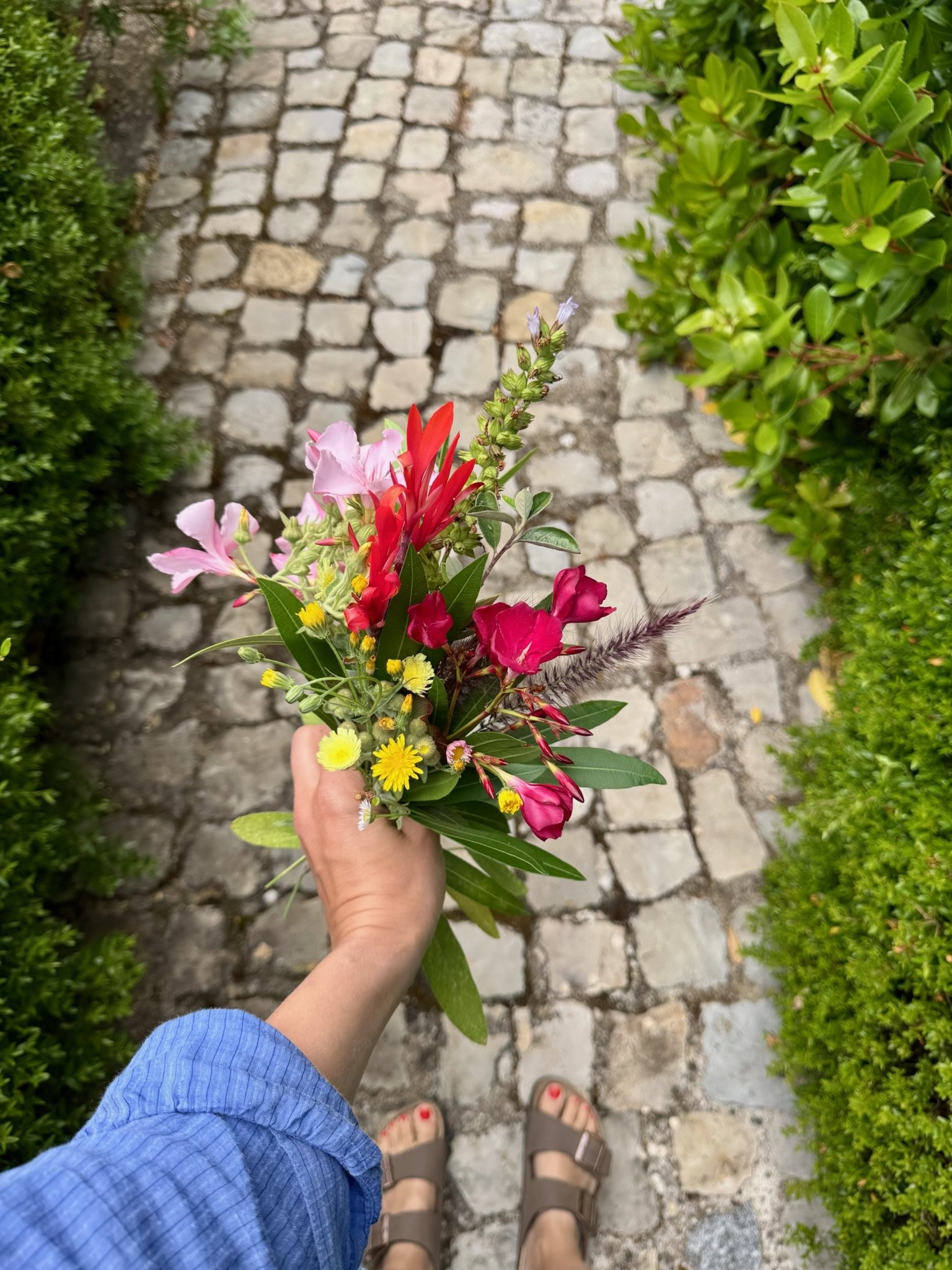 IMG_1941.jpeg