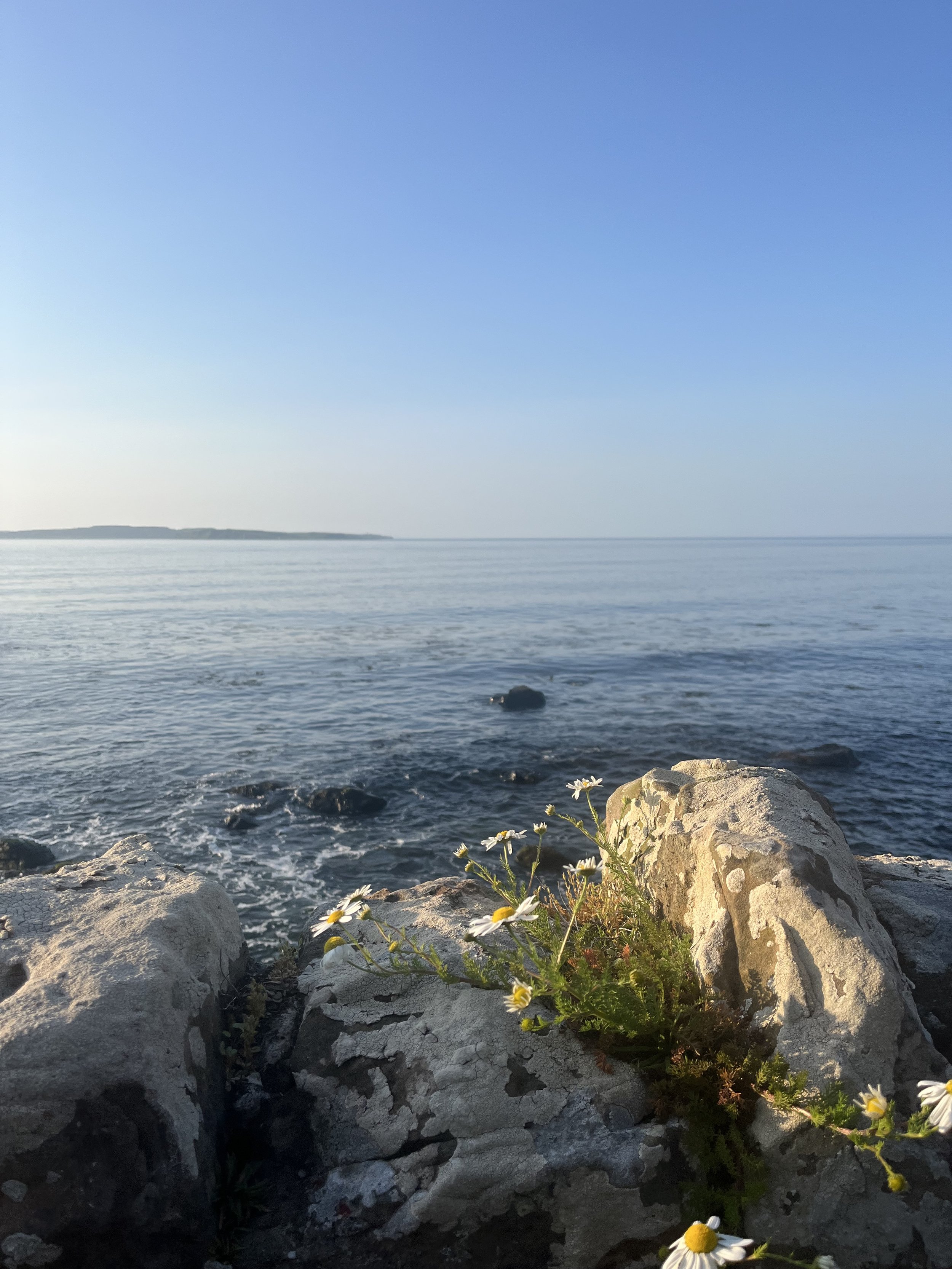 IMG_4123.jpeg