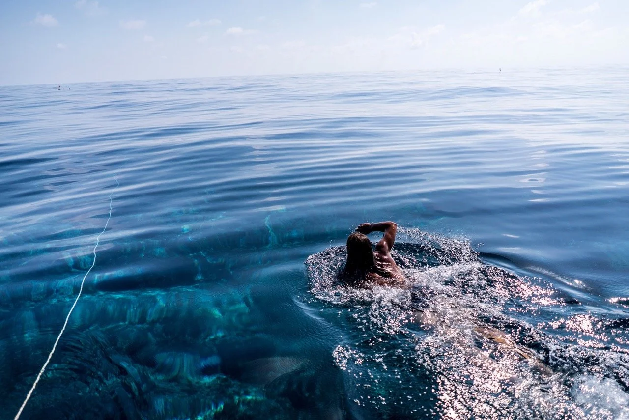 women swimming to the horizon.jpeg